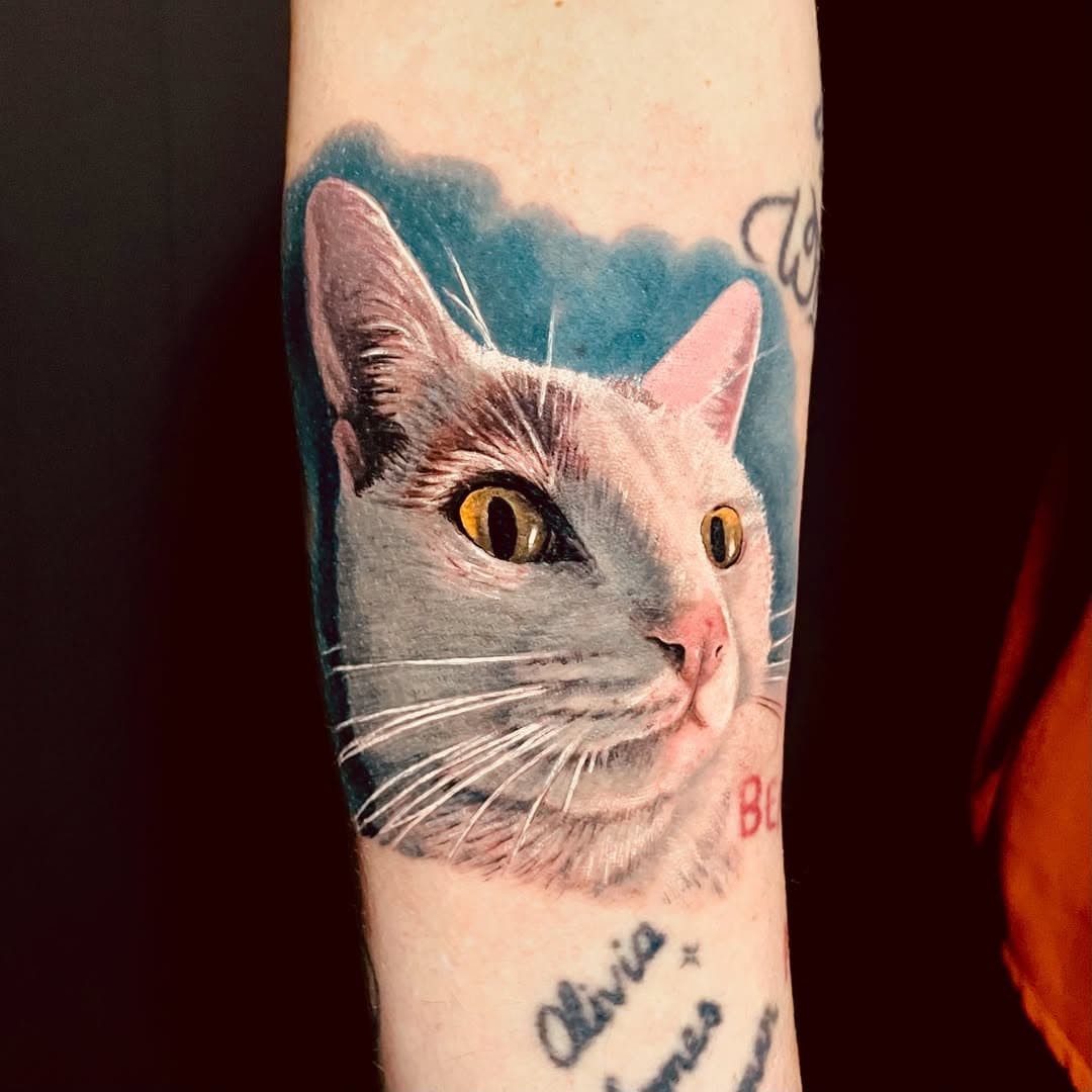 Cat portrait 🐈
.
.
Done with @biotat_ 
.
@theseancetattooparlor 
@westsidetattoo719 
.
#cat #cattattoo #catlife #catlover #blackandgreytattoo #portraittattoo #biotat #tattoo #tattooist #realistictattoo #tek #tektattoo #hinckley #leicestertattoo #inkedgirls #anchoredstencil #bensalem #philadelphia #philly #phillytattoo #nyctattoo #nyctattooartist #nyc #coloradospringstattoo #losangelestattoo #losangelestattoo #california
.
.
@biotat_ 
@anchored_stencil 
@dynamiccolor 
@worldfamousink 
@fkirons
@ttechtattooneedles