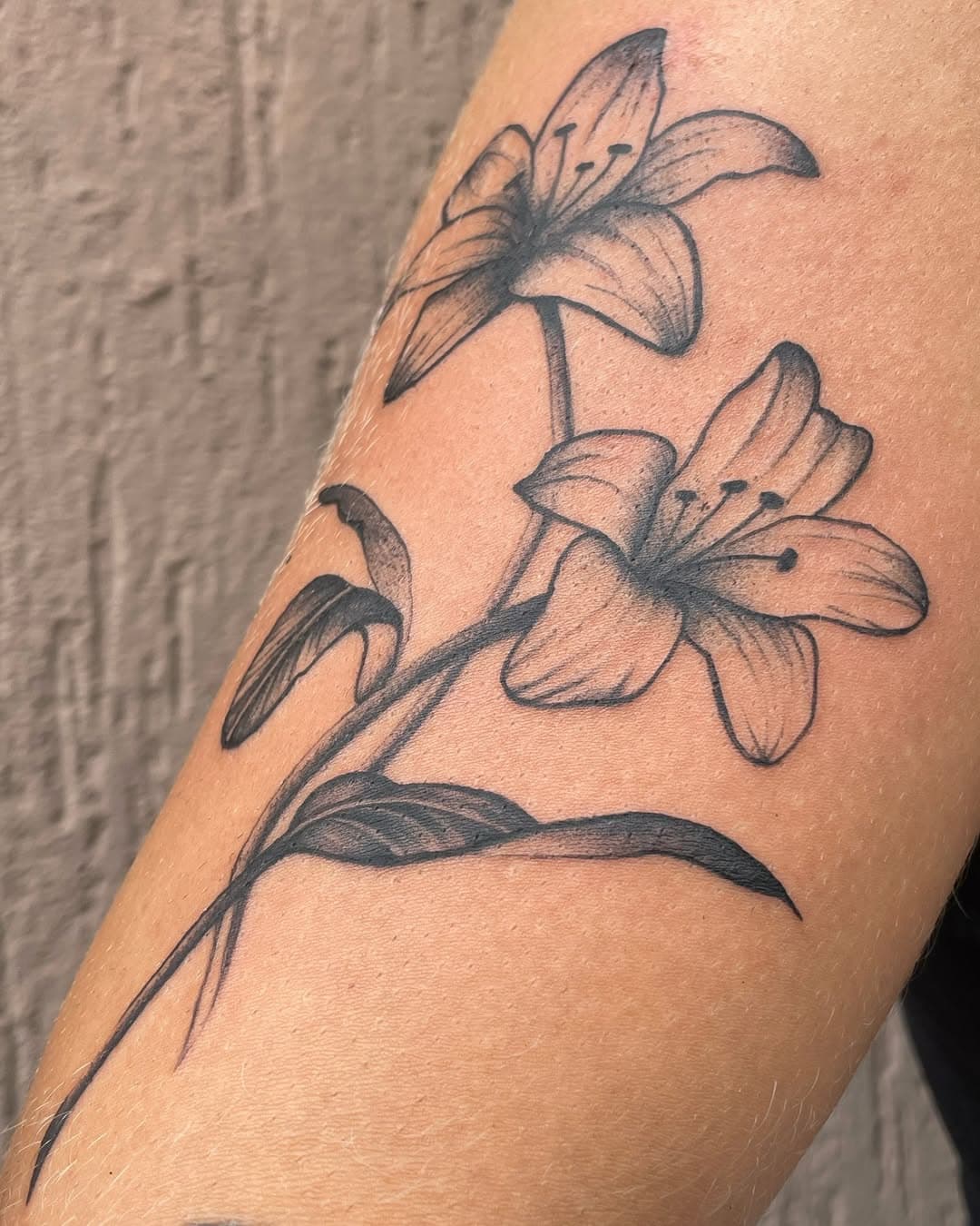 Lírios para a Lara ✨

Tenho amado muito fazer botânica, não só pela beleza em si mas pela versatilidade  de possibilidades. Dá pra brincar com a anatomia corporal e dispor a arte em vaaarias posições, tornando a tattoo única e original.

E você? Qual plantinha tatuaria? Vem de dm pra gente combinar 🥰⚡️

Agenda de fevereiro aberta 💞