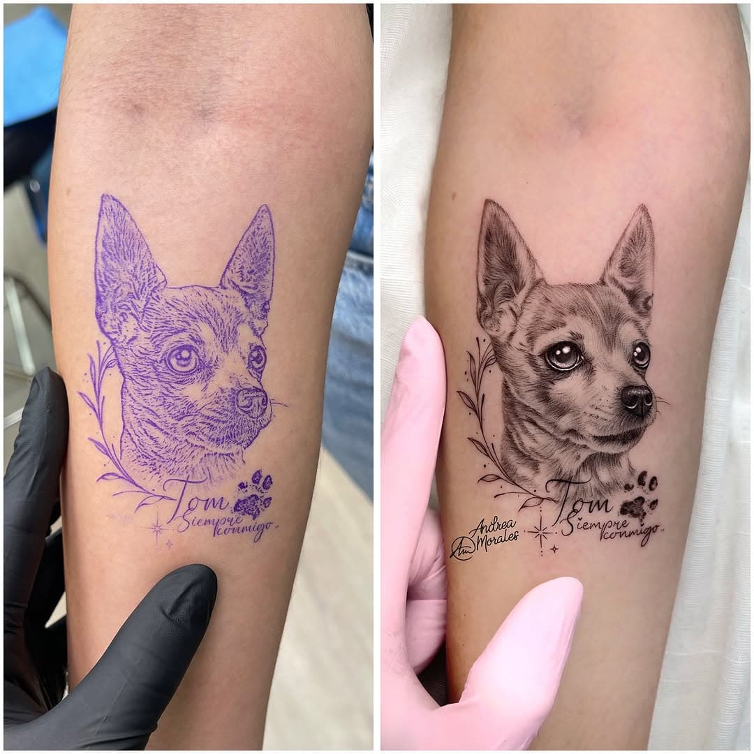 Primer tatuaje del 2025: microrealismo de 9cm en escala de grises de Tom, el preciosisimo perrhijo de mi clienta Rocío que le hice en el antebrazo nada más empezar el año.
Ella quería exactamente a su perro, no quería un perro de internet, y lo quería pelo a pelo porque la textura original y real es así.
Conseguimos tras 4h de trabajo y muchas risas, este resultado que tendrá para siempre! 🐾🐶♥️ 
Qué feliz me siento de saber que os hago felices y que os ayudo a que tengáis a vuestras mascotas antes de que crucen el arcoíris 🌈❤️
Muchísimas gracias por todo Rocío! 🙏🏼❤️
Al final del todo tenéis una foto del día siguiente sin tanto rojo ^^
●
📮 Citas/info al WhatsApp: + 34 605.79.47.47
📍 Visítame en mi propio estudio: @958tattoo 
●
Seminarios presenciales de microrealismo en @958tattooacademy 📚
Siguiente curso: del 27 al 30 de MARZO con prácticas reales incluidas 🌟🌟🌟🌟🌟
●
🍃 Usando productos VEGANOS 🌱 :
• Agujas: @fineline_tattoocartridges 
• Pigmentos: @radiantcolorsink 
• Gel transparente: “Photo-finish” de @tattooproton 
• Distribuidora: @akirabodyart 
• Elimina tu tatuaje sin dolor con: @tktxnumbofficial
• Crema de curación “958 Tattoo cream”: @easykitsspain 
●
Mi propio hashtag: 👉🏽 #ArtOfTheTattoo 👈🏼
●
#MicrorealismoTattoo #Microrealism #Microrealismo #Microilustralismo #Microilustracion #RadiantColorsInk #RadiantColorsCrew #RadiantColorsEurope #Thebestspaintattooartists #Tattoo #Tatuaje #FineLine #antwerp #antwerpentattoo #antwerpen #antwerptattoo #bruselstattoo 
• • • • • • •
■ @thebestspaintattooartists
■ @equilattera
■ @theartoftattooingofficial
■ @radtattoos