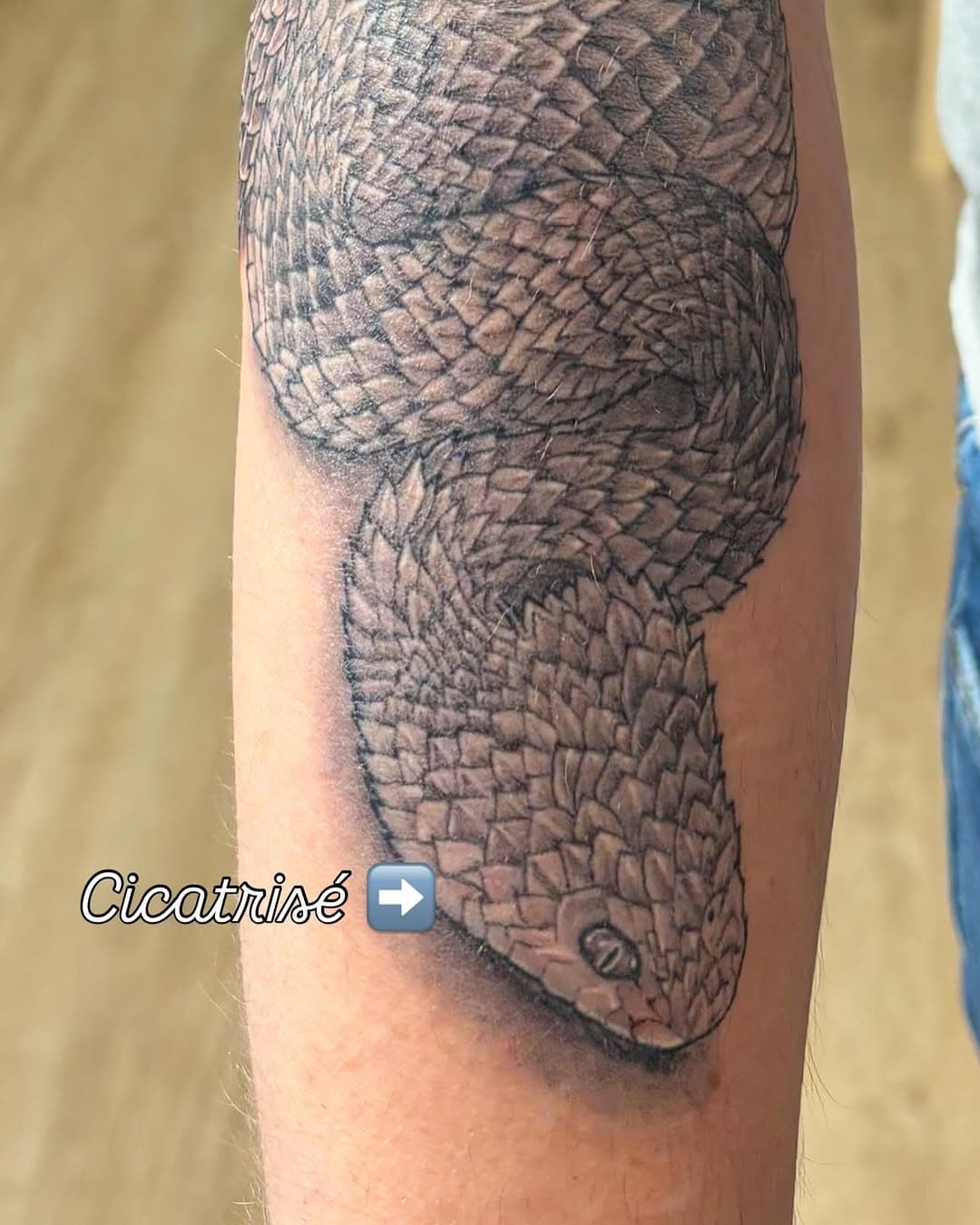 Le tatouage du jour 😉 serpent fait par Jérôme #alohatattooamiens #alohatattoo #aloha #amiens #amienstattoo #tattoo #tatouage #snake #snaketattoo #realistictattoo #bishopwand #dynamicink #kwadroncartriges