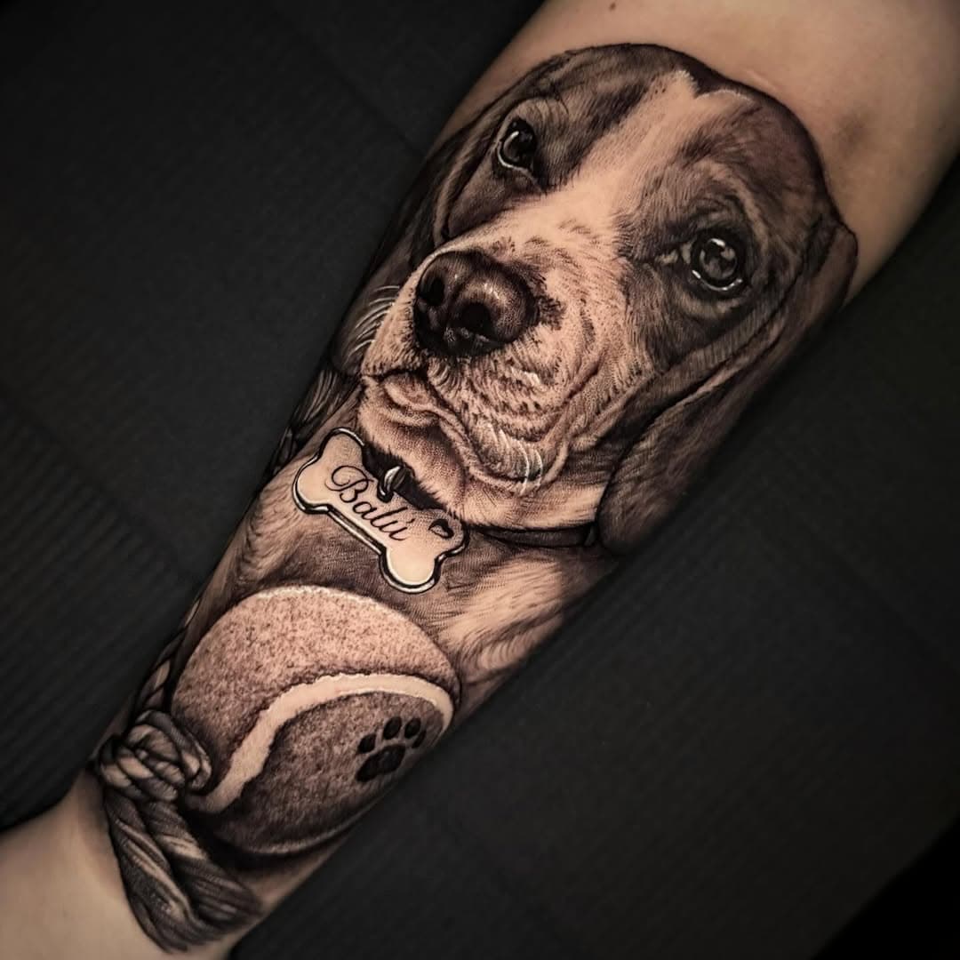 Retrato de Balú. 
 
Para citas y consultas no dudes en escribirme!
Más en Jerez @ironhorsejerez y Madrid @drama.tattoo 
 
#perro #dog #dogsofinstagram #perrotattoo #dogtattoo #realismo #realism #realistic #tattoo #bng #blackandgreytattoo #blackandgrey #realismotattoo #realismtattoo #realistictattoo #jerez #cadiz #alcorcon #madrid