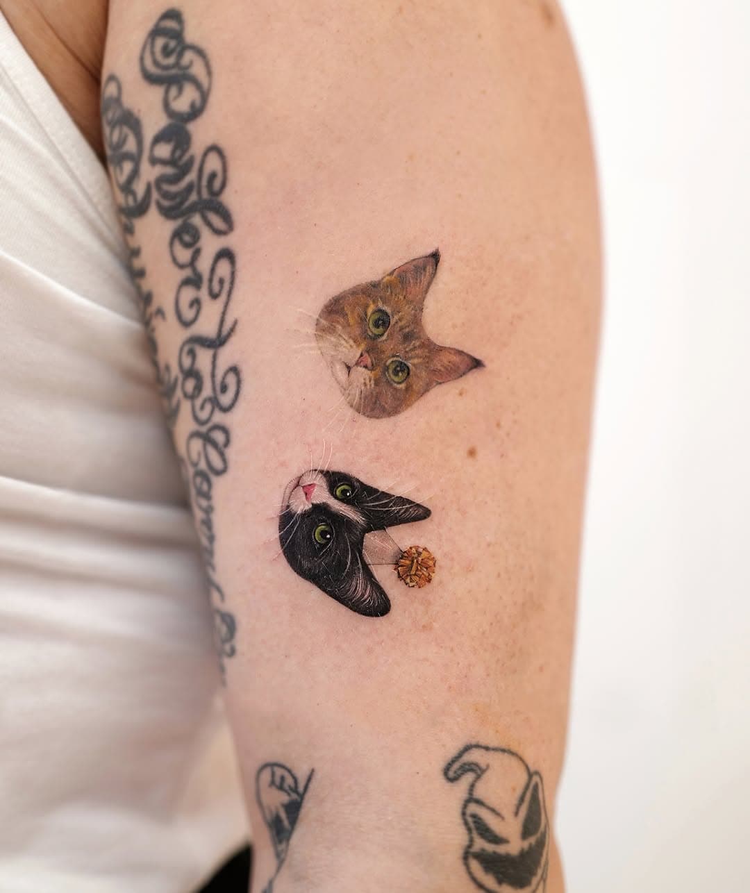 Healed + New✨🥳