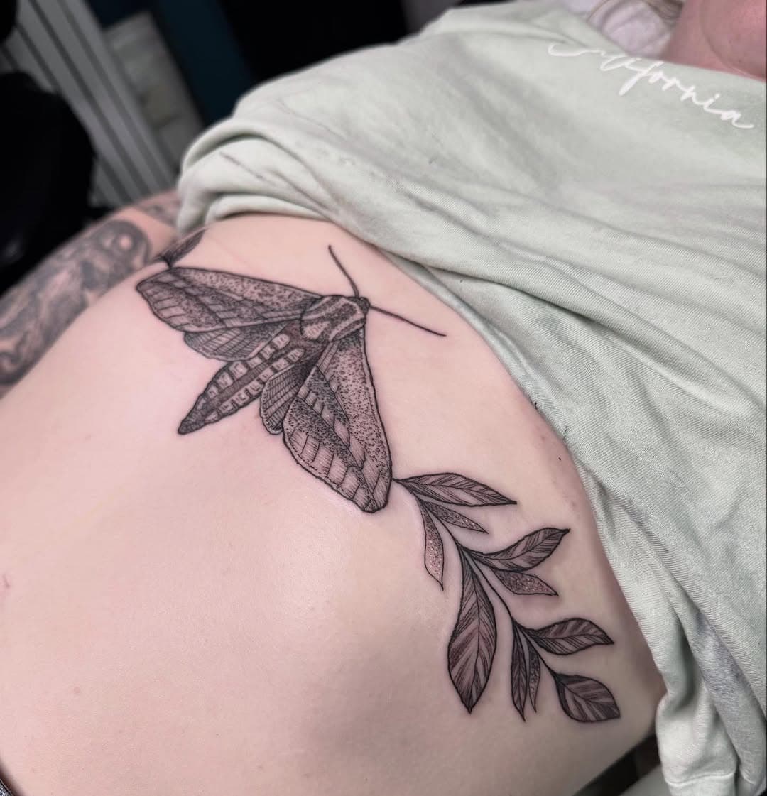 Elephant Hawk Moth for Sophie. 🖤