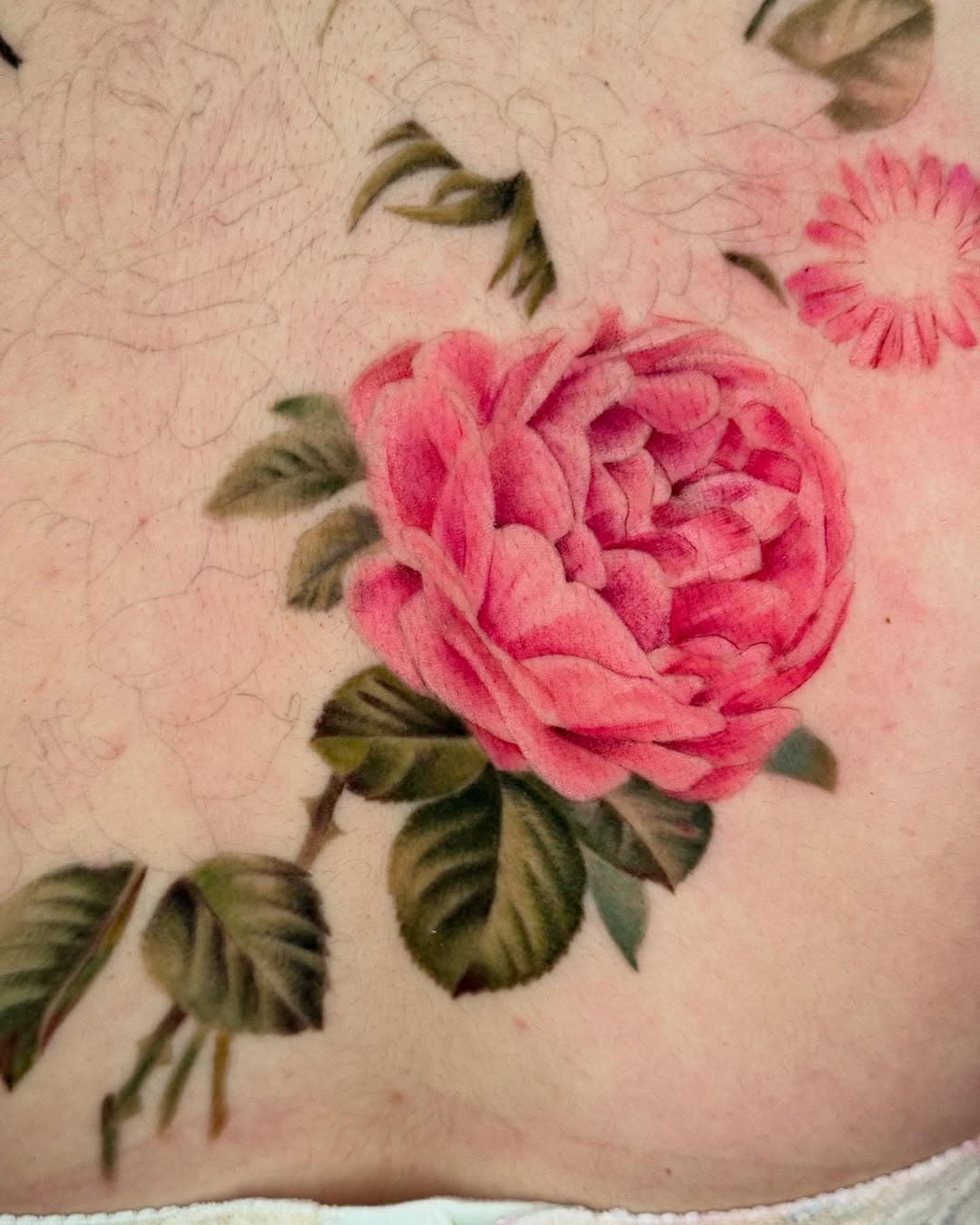 Big #WIP I’m so excited to be working on! 

#peony #peonytattoo #sanantoniotattooartist #houstontattooartist #austintattoartist #dallastattooartist #floraltattoo