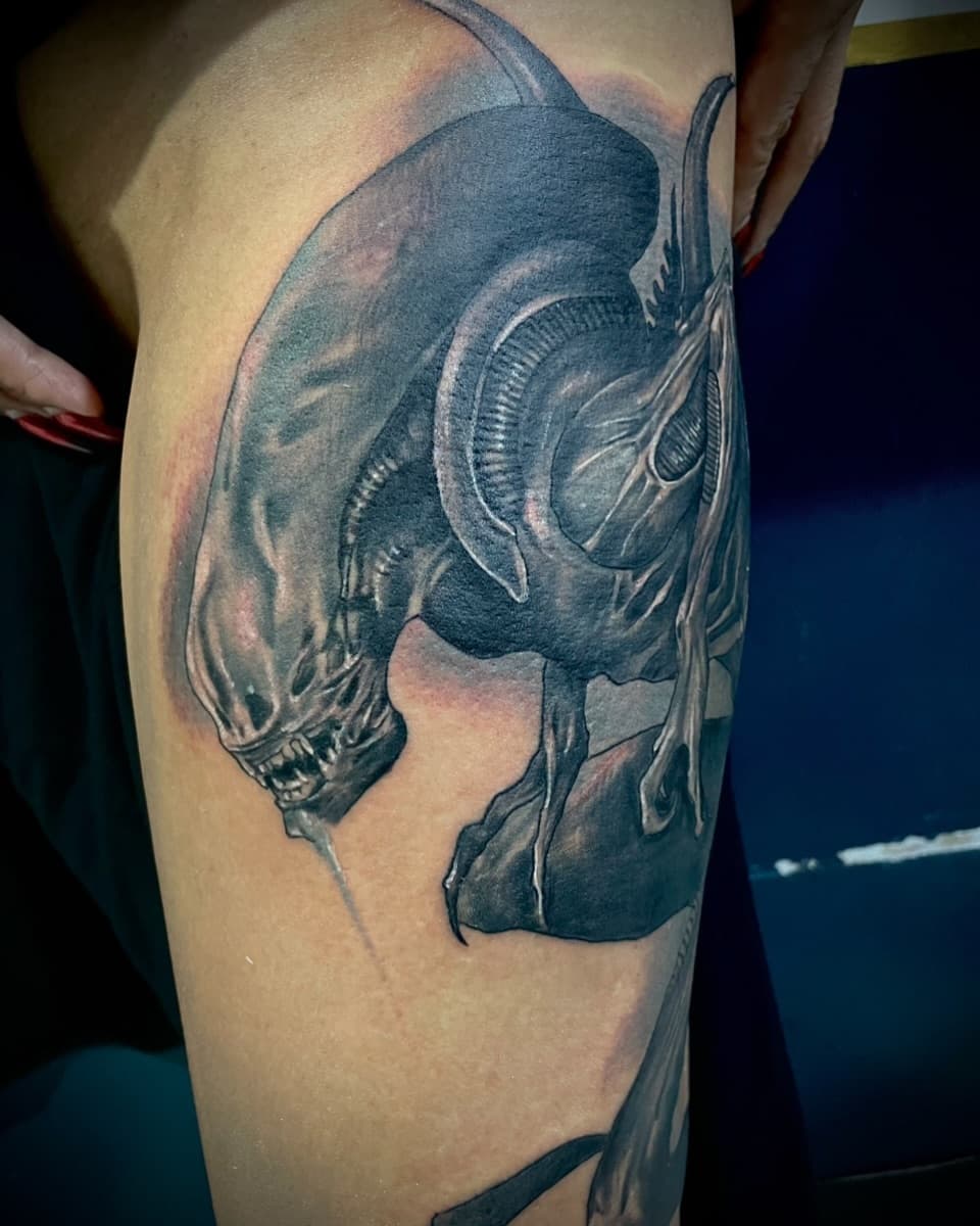 Alien de Hr Giger (Xenomorph)
Pieza y proyecto para toda la pierna.
Todo esto fue hecho en una sesión larga de 6-7 horas.🤘🏽
.
.
HR Giger Alien (Xenomorph)
Just started this full sleve project a few days ago.
Everything was made in 6-7 hours 🤘🏽
.
.
.
.
#mexicantattooartist #xenomorph #xenomorphs #xenomorphtattoo #hrgiger #hrgigermuseum #hrgigerart #hrgigertattoo #hrgigeralien #darkart #darkartists #darkartist #darkartwork #darkartistssubmission #realismtattoo #mexico #cdmx #cdmxtattoo #gruyere #gruyeres #switzerland #switzerland🇨🇭 #fribourg #ferneyvoltaire @giger_art @hr_giger_museum @hr_giger_bar_museum @switzerland_incredible @bainsdelagruyere @lacasa_mexicana @cheyenne_tattooequipment @tarmex_oficial @radiantcolorsink @radiantcolorseurope @radiantcolorscrew @starbritecolors @dynamiccolor @boycottproducts @bactine.official @biomech_collective @darkart_collective @zitacartuchos @soulflower_tattoo_supply @triptykonofficial