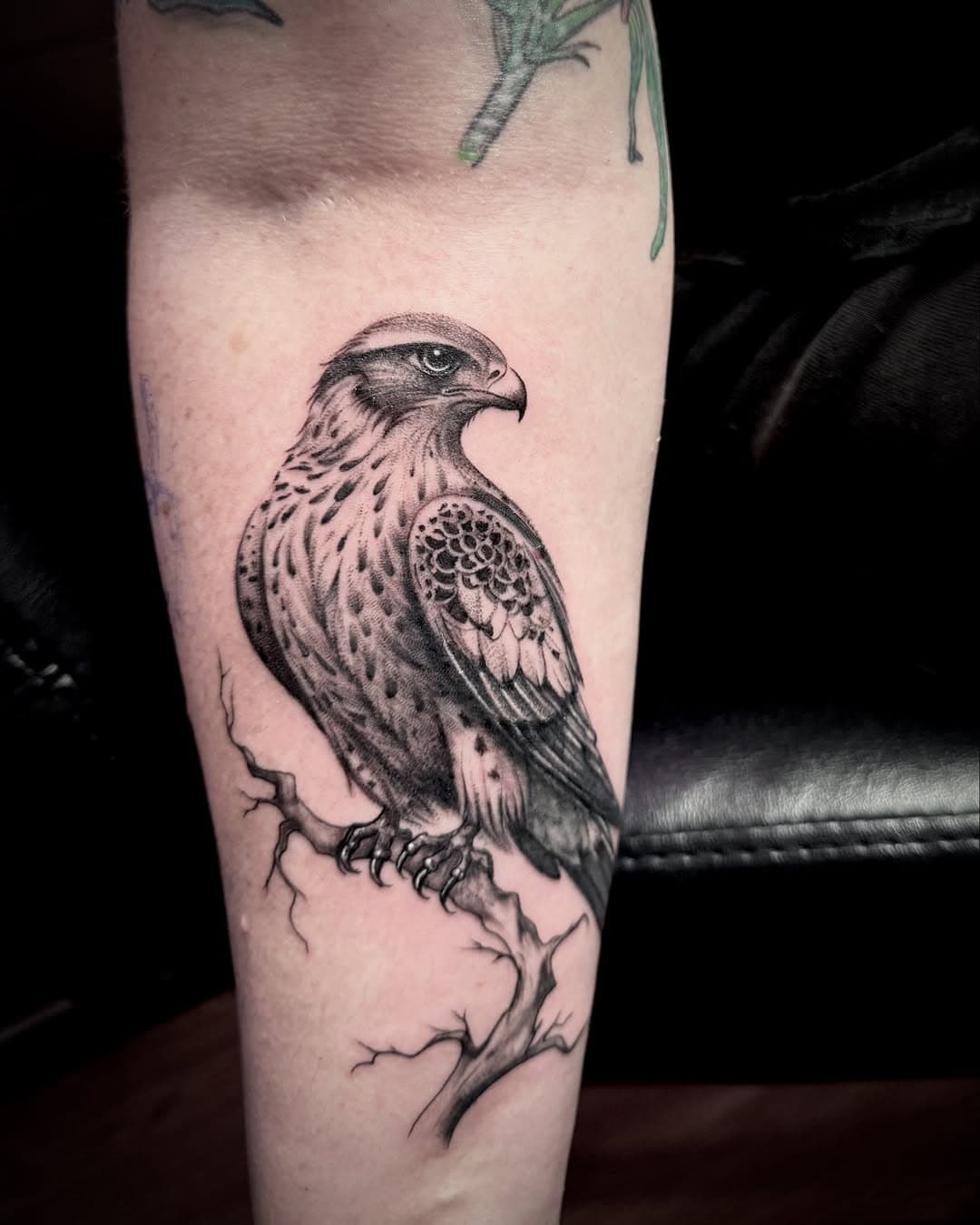 First session of a half sleeve project! 🦅 
.
.
.
@cheyenne_tattooequipment 
@dynamiccolor 
@kwadron 
@tattoodo
@inkedmag 
#tattoo #tattoos #falcon #falcontattoo #realism #animaltattoo #birdtattoo #sanantonio #linework #erkantattoo #ink #inked #tattooart #artist #tattooist #art #floraltattoo