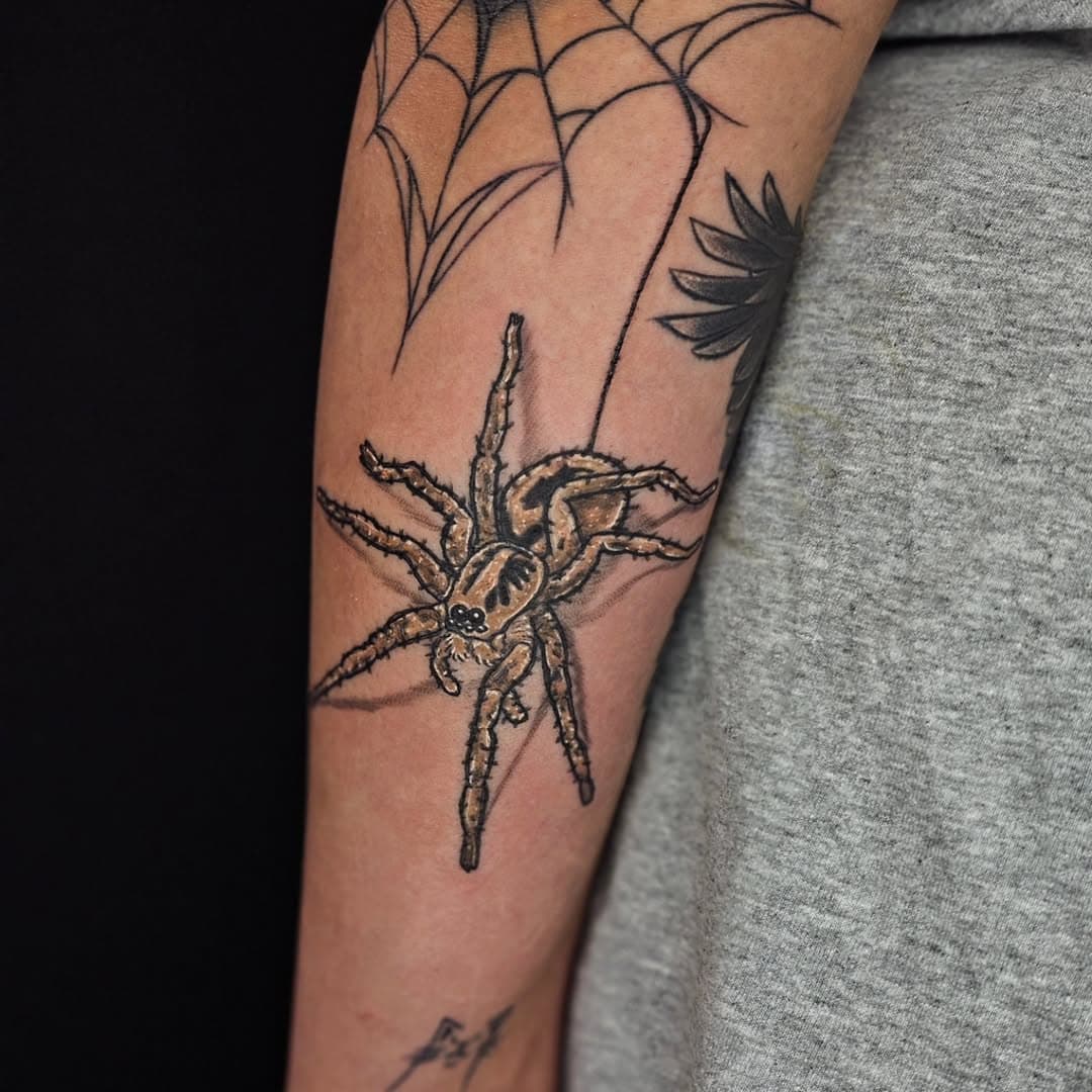 If not friend, then why friend shaped?! 
I love spiders, so this was a blast to do!
Sorry to my arachnophobia followers 💀.
.
.
.

#b1tchesloveme #kelsoink #kelsokutz #newyorkink #tattoo  #greattattoo  #faceandbodyink  #numbme #faceandbodyprofessionals #stencilstuff #eliteneedles #saniderm #nytattoo #girlswhotattoo #tattoo #longisland #longislandtattoos #eternalink #dynamictattoo #blackworktattoo #colortattoo #graphictattoo  #tattoos #bodymodification  #longislandtattoos  #longisland