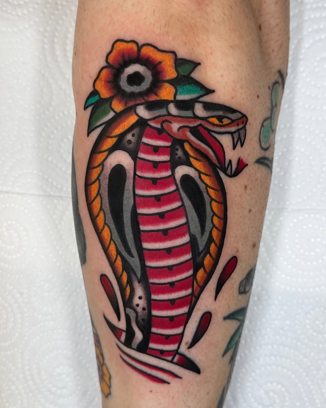 Cobra para @pedrogarcia.molina Gracias máquina!❤️

⚒️ REALIZADO EN @theclubmalaga ⚒️
.
📍 ALAMEDA DE CAPUCHINOS N* 6 📍
.
.
.
.
 #tattoo #tattoos #tattoocolors #traditionaltattoo #tradtattoo #traditionalbangers #oldschooltattoo #tradworkers #inkedup #picoftheday #bright_and_bold #trading #tattooer #trading #trd_tattoo #oldlines #tattooink #inkmindcrew #classistattoo #neotradsp #traditionaltattooart #traditionaltattoospain #freshlyinkedmagacine #skinart_traditional #tattoo_artwork #malaga #tattoosnob #oldworkers #topclasstraditional #leivatattoo