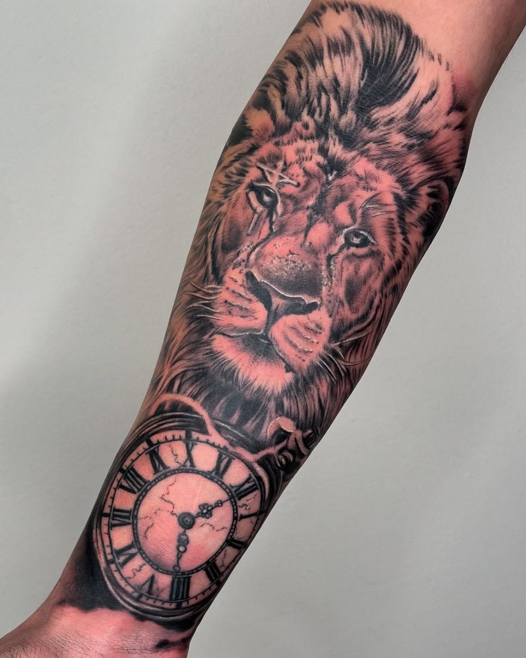 @sparkleytattoostudio 
@ezk8tattoo 
.
.
#lion#liontattoo #oclock #oclocktattoo#tattoo#tattoos #chicano #ink#inked#inktattoo #tattooed #tattooart #tattooideas #realistictattoo #realisticink#bngtattoo#blackandgraytattoo #skinarttattoo #tattoolife#ibizatattoo#bassanodelgrappatattoo#andreasparkley#sparkleytattoostudio#chicanotattoo#animaltattoo