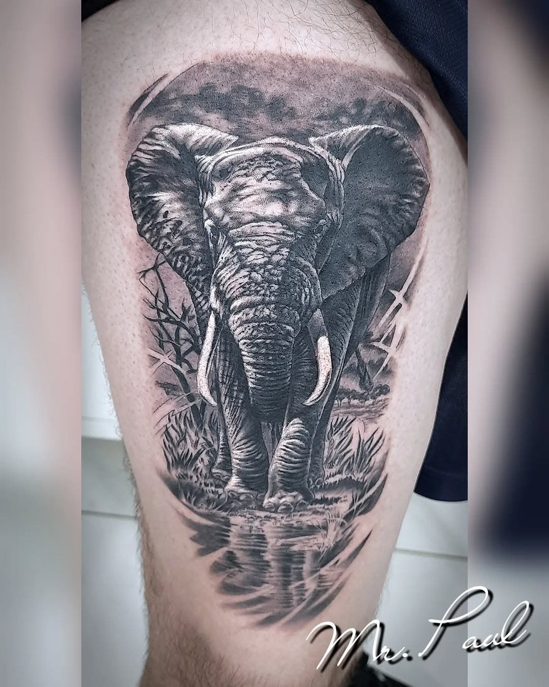 Tatuei alguns elefantes durante a carreira, todas as vezes procurei fazer melhor que antes, é assim com todos os trabalhos, por isso nunca cansei de tatuar nesses 25 anos como tatuador 

#tattooart #tat #tattooribeiraopreto #tatuagem #tattoo2me #tatuagemribeiraopreto #tatuadoresbrasileiros #ribeiraopreto #dermographictattoo #radtattoos #ribeiraopretotattoo #electricink #revistatattoobrasil #tattoo #realismtattoo #tattooartist