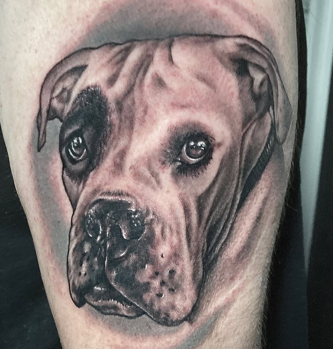 MAIDEN para @albertosancheztruji 
Por un amor incondicional 🥰
-siempre es un placer realizar a mascotas!!!
y tú? A que esperas?
-para citas o info 660915383

#mascotas #mascotasfelices🐶❤️ #love #lovedogs #tattoomascotas #boxerdog #retratomascota #tattoos #tattoos #tattoobadalona #tattoobarcelona #bdn #bdntattoo #mrzart #mr_zart