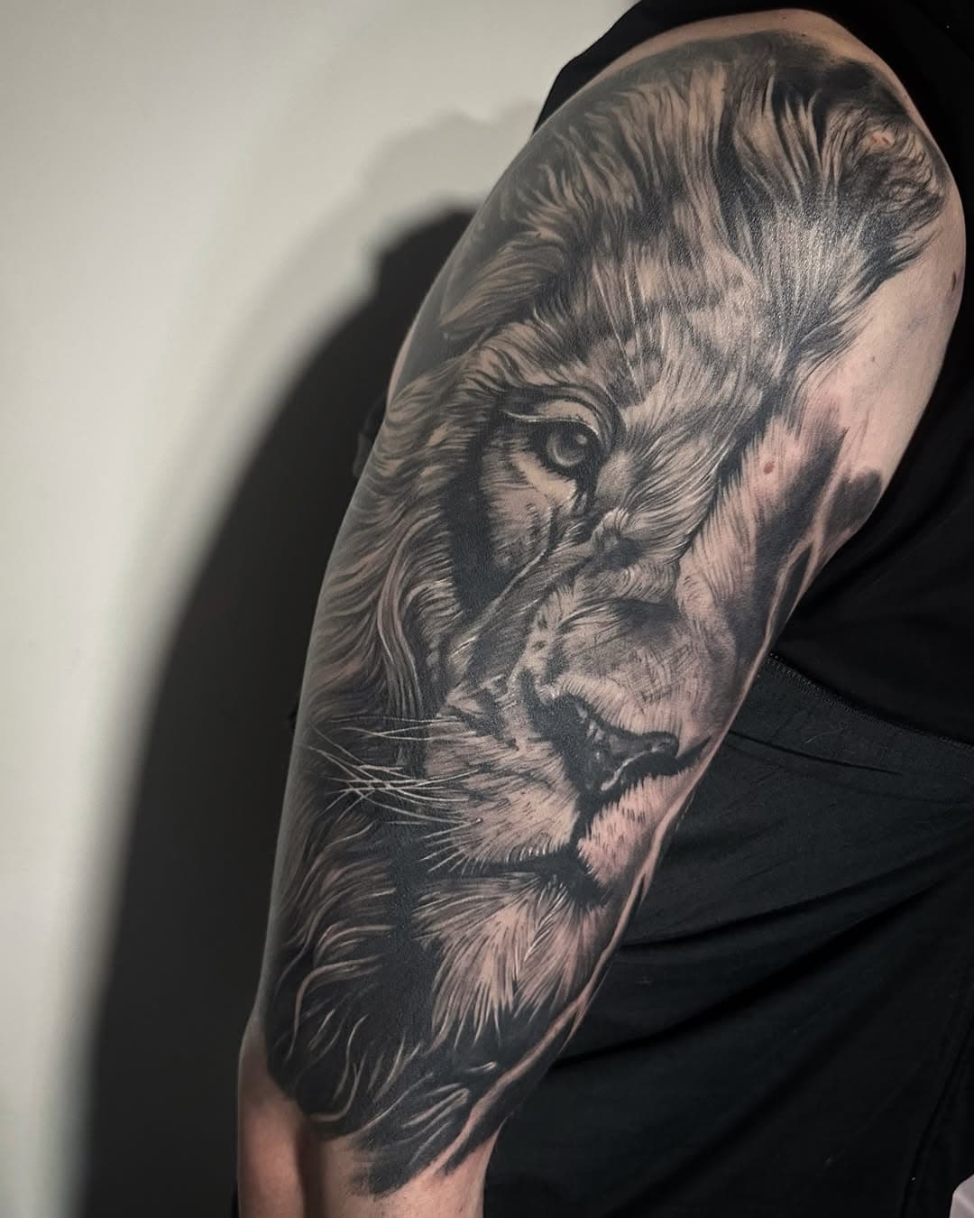 Travail en cours @681tattoosshop 
#liontattoos #tatouagelyon #lyontattoo #lyonnais #animaltattoo