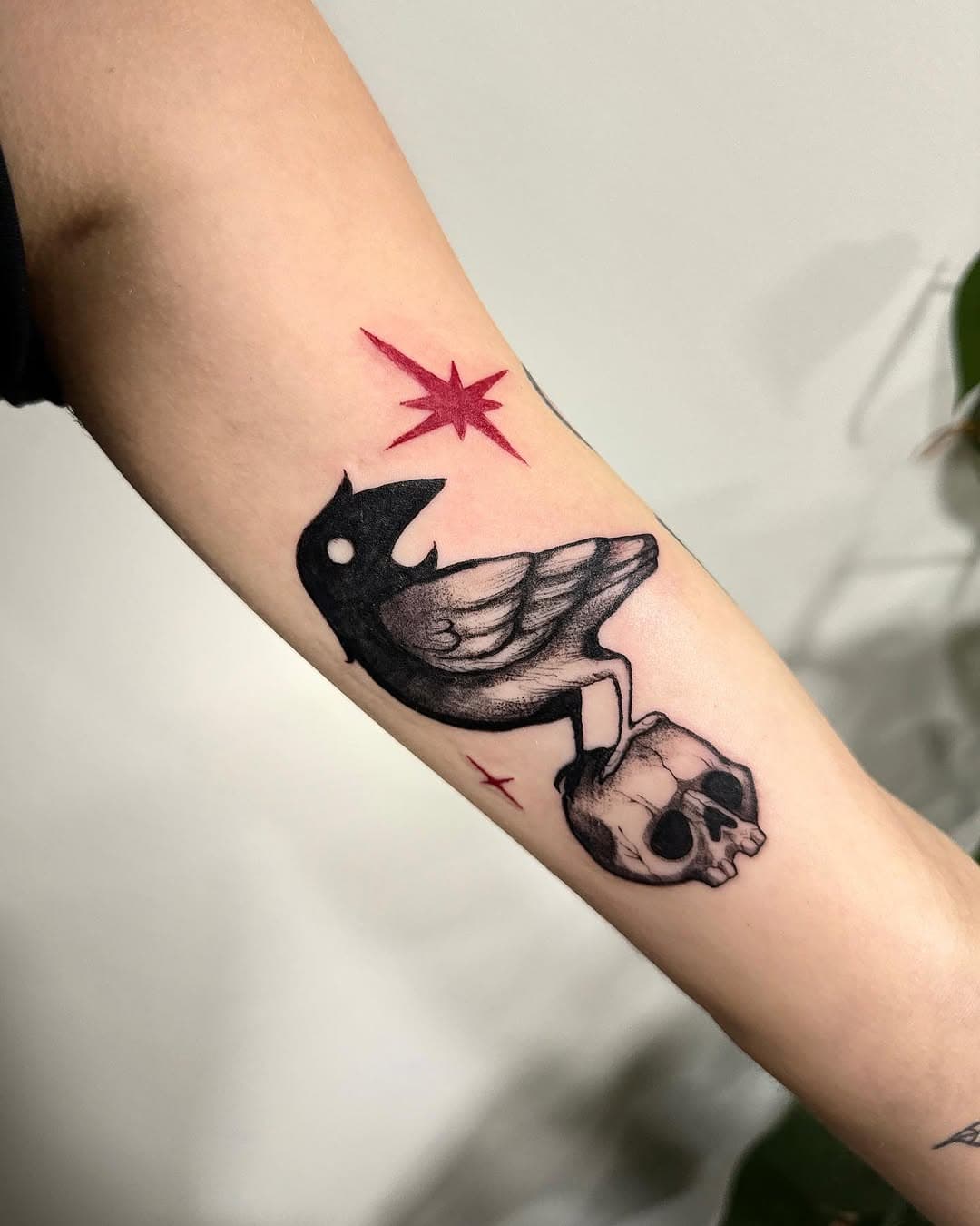 Corvinho descansando com seu amigo crânio, feito com muito carinho para a Mari 🖤✨

📍 Agenda aberta para São Paulo e Paulínia-SP. Orçamentos pelo link na bio

#macabreart #darkart #crowtattoo #raventattoo #darkandlovely #gothart #gothaesthetic