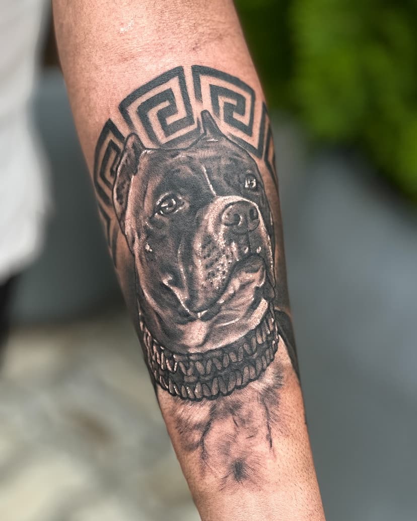 Bella .
Boa noite galera , hoje foi dia de fazer essa pitbull.
Agende seu horário, qualquer dúvidas , só chamar no WhatsApp: 88 999903295
Obrigado .
#tattoo #tattooart #blackandgreytattoos #pittbul #dynamic #dynamicink