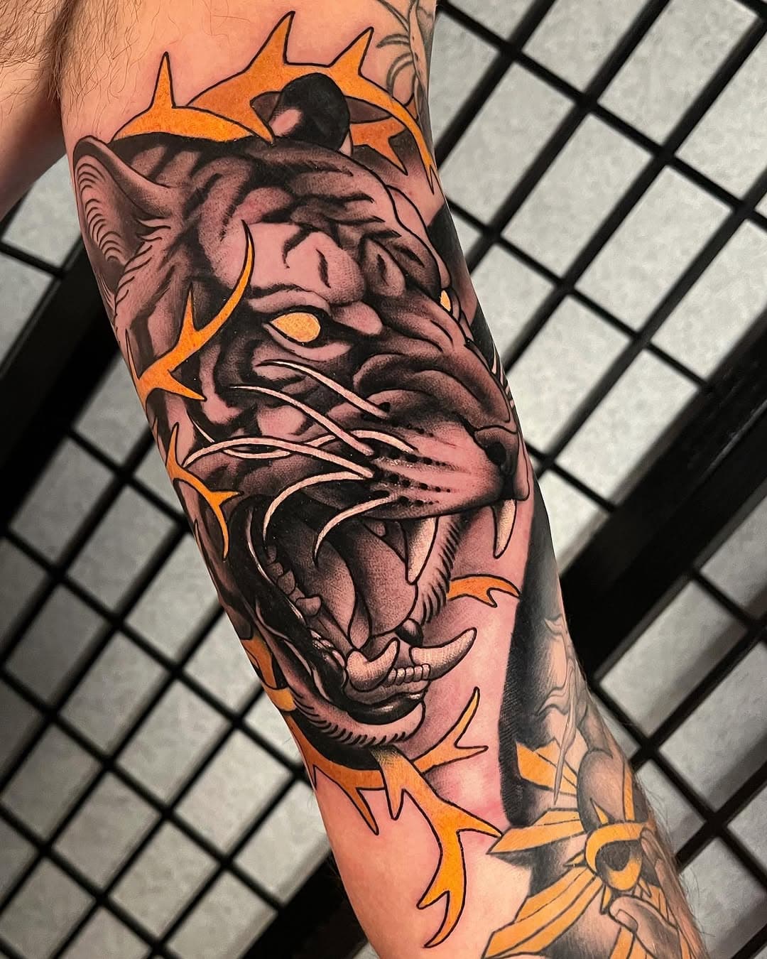 #tiger #tigertattoo #neotrad #neotradeu #neotradeurope #neotraditional #neotraditionaltattoo #neotraditionaltattoos #neotraditionaltiger #neotraditionaltigertattoo #neotraditionalbergamo #illmace #doubletigertattoo