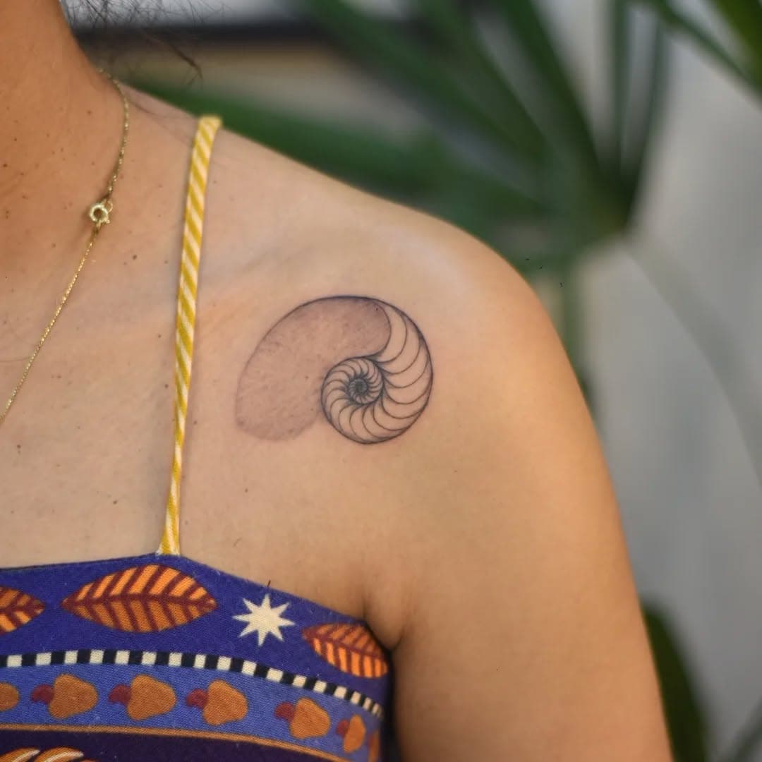 Espiral da concha do nautilus semelhante à sequência de Fibonacci 
.

📍São Paulo/zo 
.
.
.
.
.
.
.
#vilasonia #tatuagem #tatuagemsp #butanta #tatuagembutantã #tattoovilasonia #bonfiglioli #mulherestatuadoras #tattoobonfiglioli #tattoofineline #tattoodelicada