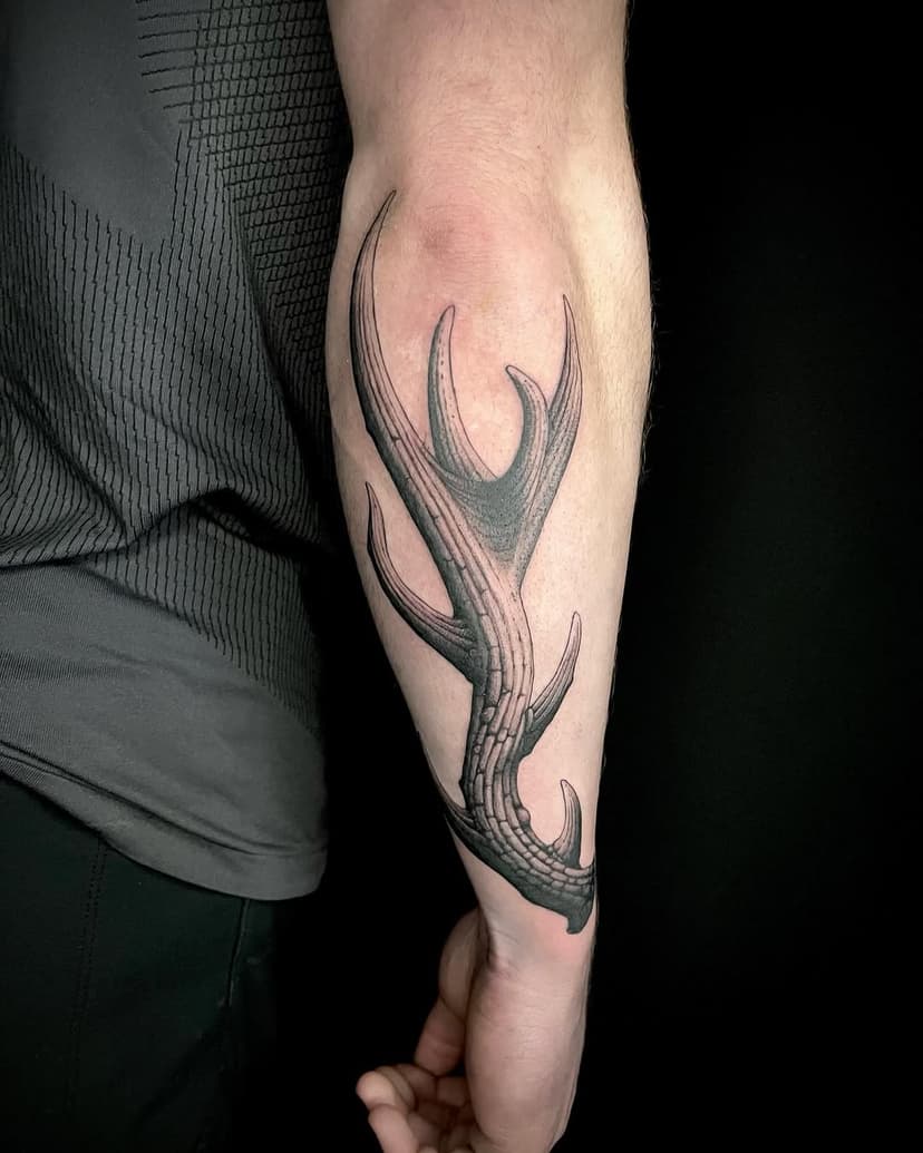 Photos from this antler! I’ve enjoyed tattooing these antlers and making them different!  Would love to do more.
Tattooed at @strongholdtattoo 

To book an appointment or just enquire you can email me on georgemarsden1@hotmail.co.uk

#tattoo #cardifftattoo #tattoocardiff #blackworkcardiff