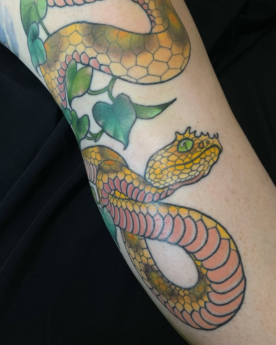 I was gonna wait until this was fully healed to post, but I’m too excited and tbh all of the lines, snake colouring is all HEALED anyway. 

This was a very special project for me to create for Gab, as this was a way to bring continuity to existing works tattooed by my bestie @deankalcoff 
He’d be cracking jokes about me stealing clients off him, but then making sure I knew it was a joke by saying he really liked the colours, followed by “borrowing” said colours. 

Ty Gab. Means the world to me to create alongside him again. 

And snakes 🐍 love love love them. Spent the longest time thinking I wasn’t good at designing them. But here we are, pushing at self imposed limits. Perfect timing with Year of the Snake too. 

#snaketattoo #pitvipersnake #snake #yearofthesnake #kneetattoo #legtattoo