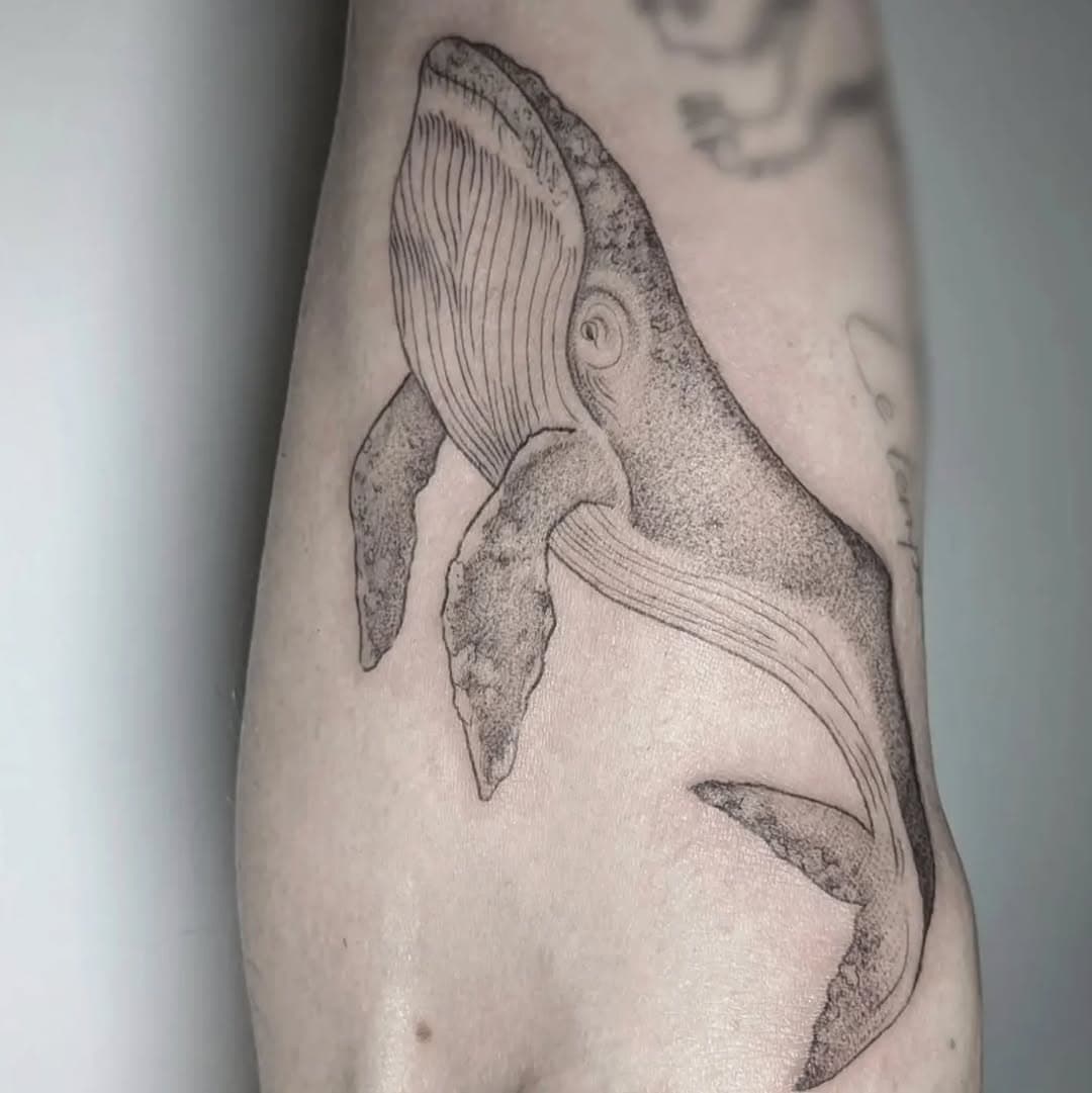 Par @helene_damville 
Une baleine pour accompagner Thierry, merci pour ta confiance renouvelée !
.
.
.
.
.
.
.
.
.
.
.
#tatouage #blackink #tattoo #inkart #drawing #dessin #tatouage #tattooart  #engravingtattoo #engraving  #fineline #finelinetattoo  #graphictattoo #graphicdesign #naturalhistoryart #naturalhistoryillustration #natureart #naturelover #whale #whaletattoo #whaleart #whalelover