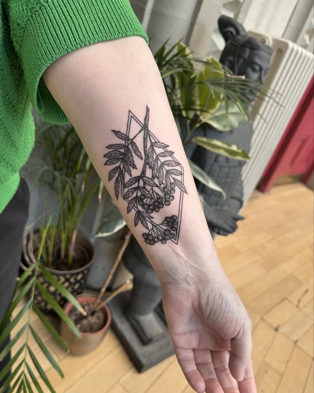 A Rowan branch for Lesley. Swipe to see  a healed fern I tattooed ten years ago! 🖤