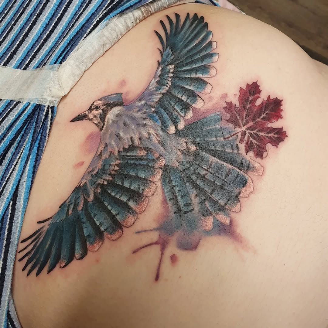 Blue Jay for Nicola 💙 What a day, you did so well 👏 @_.flock #charlotterosstattoos #flock #birdtattoo