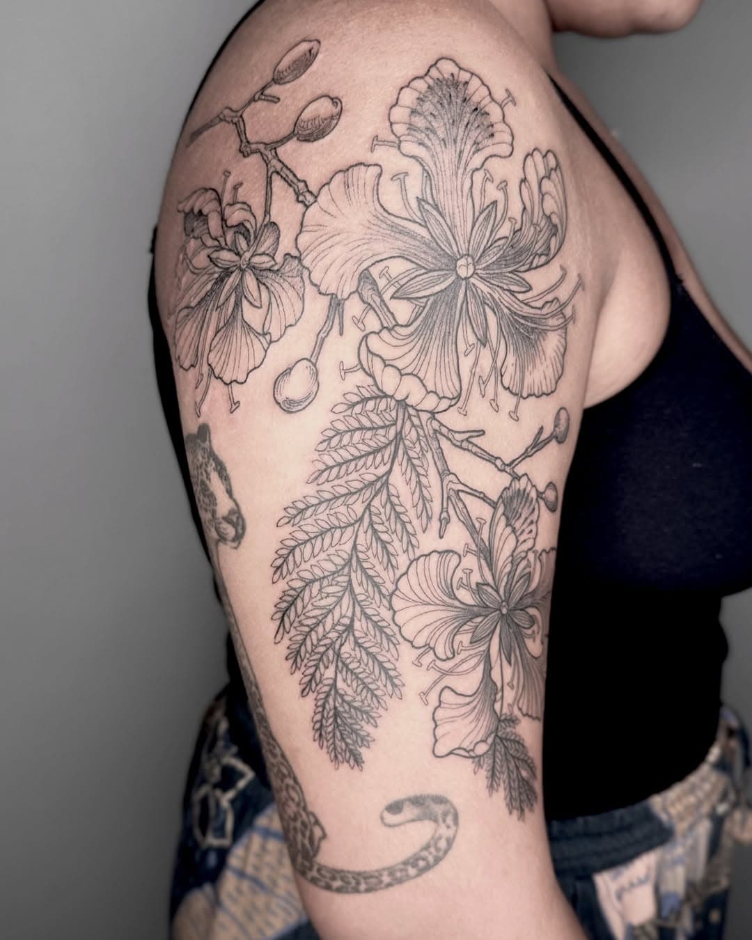 A flor do flamboyant, marcada por suas formas características.
Um detalhe forte da flora do Cerrado, cheio de possibilidades para composições.

Você tem uma planta favorita?

#OutsideTattoo #Blackwork #TatuagemAutoral #FlorDoFlamboyant #FloraDoCerrado #ArteBlackwork #TatuagemGoiânia