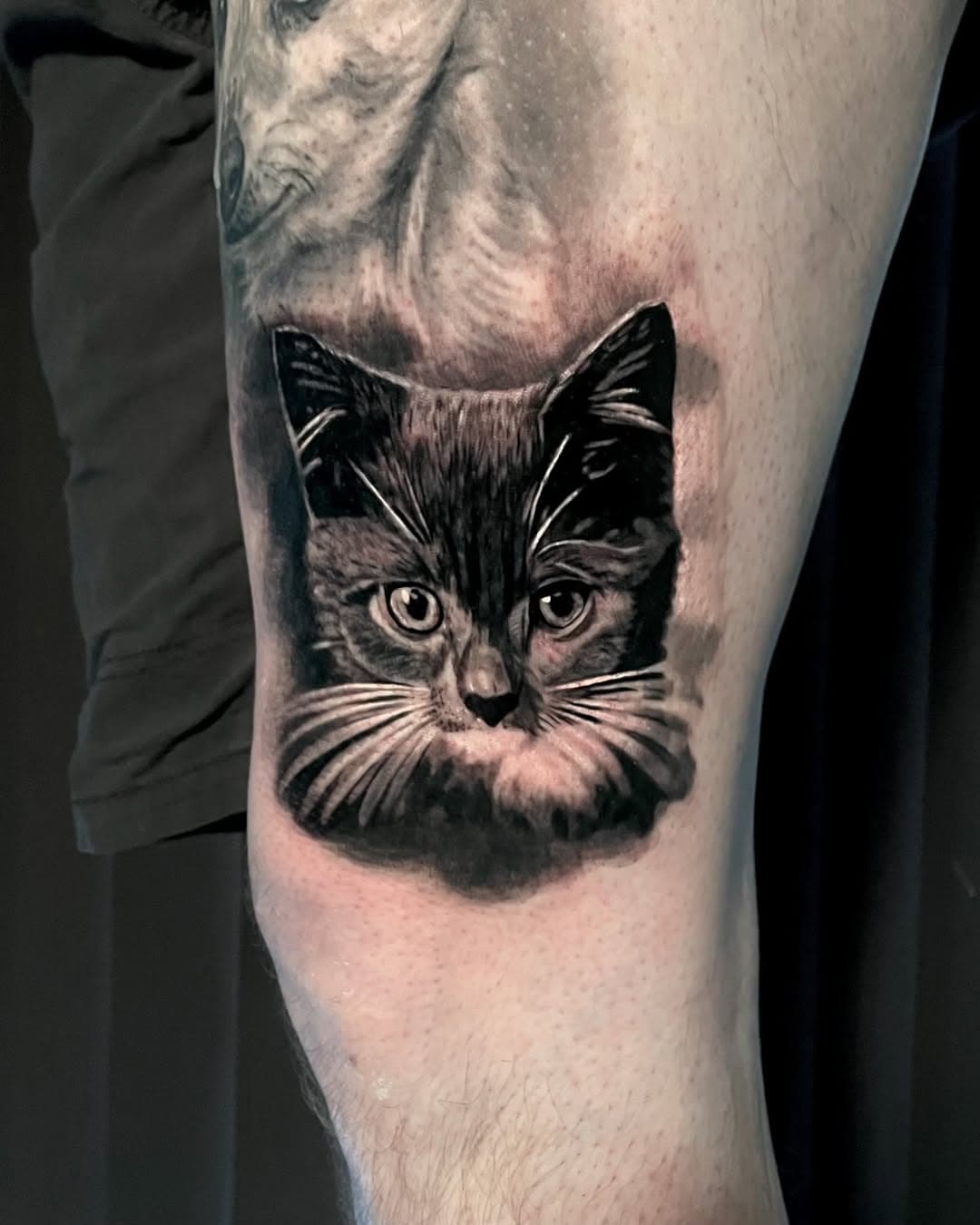 Cat portrait 🐈
.
.
Done with @biotat_ 
.
@theseancetattooparlor 
@westsidetattoo719 
.
#cat #cattattoo #catlife #catlover #blackandgreytattoo #portraittattoo #biotat #tattoo #tattooist #realistictattoo #tek #tektattoo #hinckley #leicestertattoo #inkedgirls #anchoredstencil #bensalem #philadelphia #philly #phillytattoo #nyctattoo #nyctattooartist #nyc #coloradospringstattoo #losangelestattoo #losangelestattoo #california
.
.
@biotat_ 
@anchored_stencil 
@dynamiccolor 
@worldfamousink 
@fkirons
@ttechtattooneedles