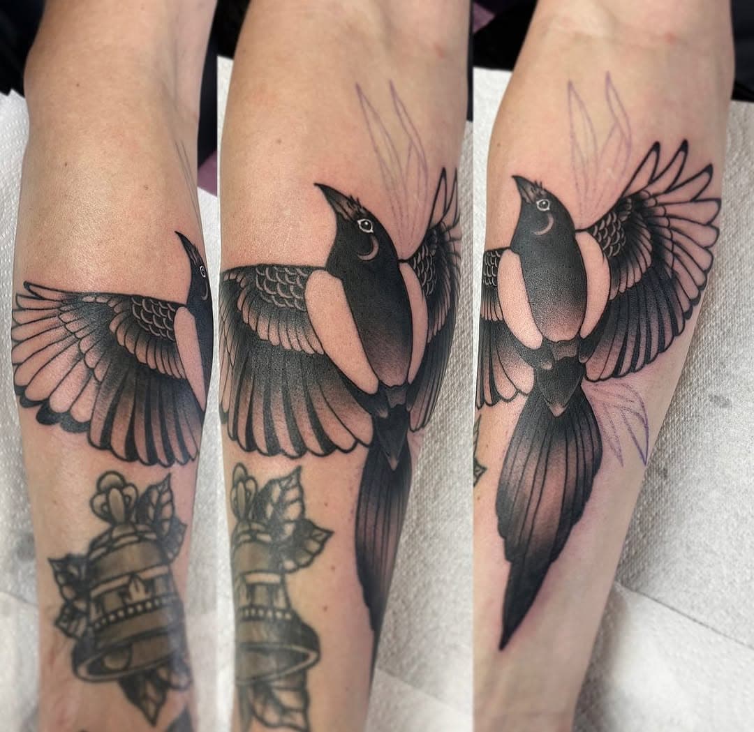 Fun trad magpie done for Kevin a few months ago on my day at @riverstyxtattoostudio 

Booking February-May in Glasgow!! DM to get booked in✌🏻one day left available to tattoo in Winnipeg @2ndchancetattooandremoval on 20th January 

@toothlesstattoosart @newimagetattoocollective @2ndchancetattooandremoval 

Done using @keithbmachineworks @blackngoldlegacy @sknworksuk

#delboi#delboitattoos#glasgow#glasgowtattoo#glasgowtattooartist#glasgowart#scotland#winnipegtattoo #tattoo#tattoodesign#tattooartist#tattooart#totaltattoo#tattooflash#art#coils#instatattoo#traditionaltattoo#tattooingisntcool#magpietattoo#birdtattoo#armtattoo#sleevetattoo