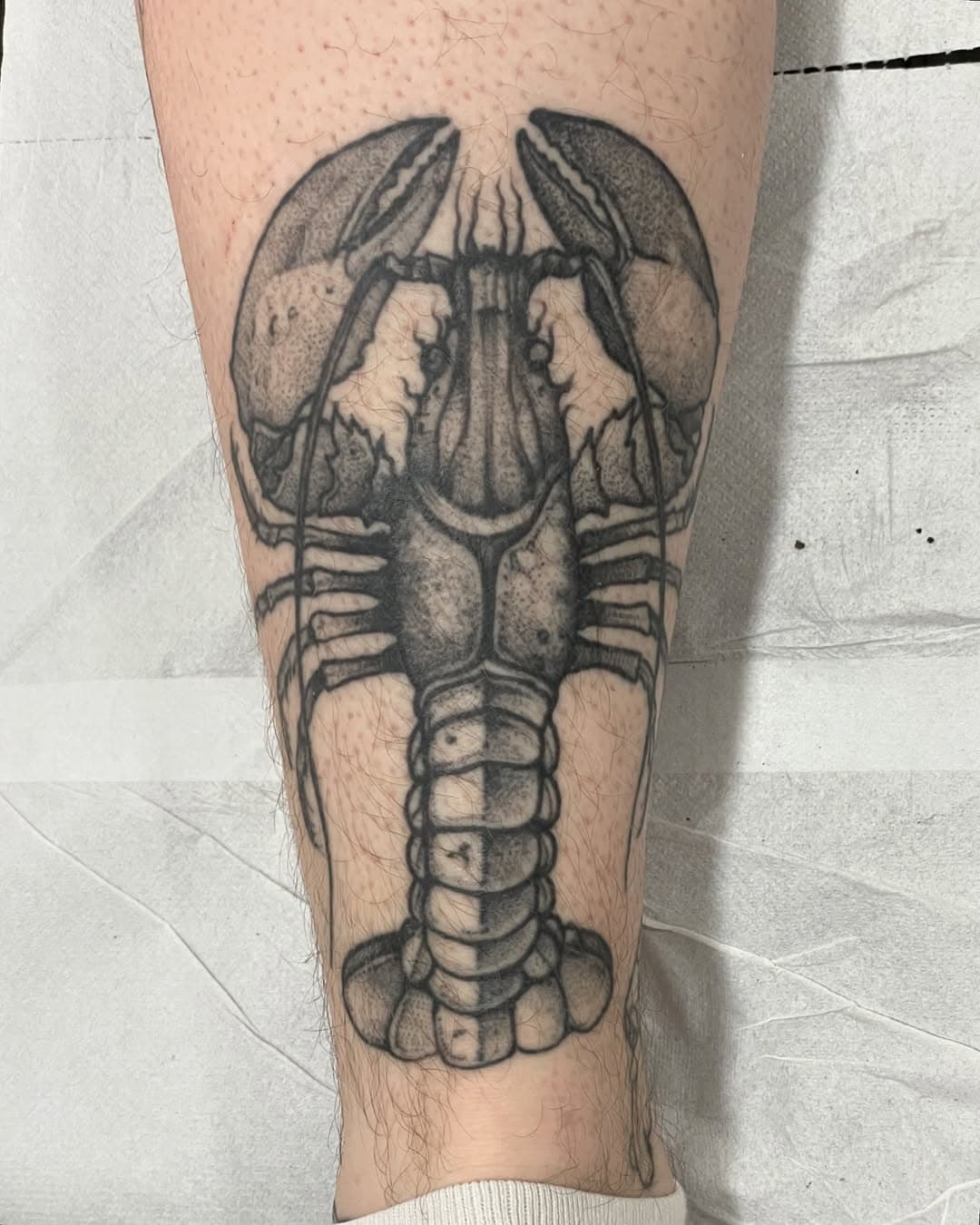 Healed one from few months back 🦞