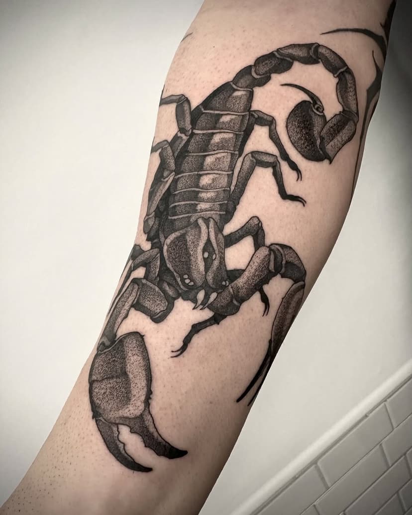 Scorpion for Nikos
Thanks for your trust bro!
Done at @knifepartytattoo 
@killerinktattoo!
For appointments send mail at blvckstab@gmail.com
#tattoo #tattoos #tatts #tattooofinstagram #blackwork #sketchtattooing #blackworkerssubmission #blackworktattoo #instatattoo #tattoosofinstagram #thebesttattooartist #TattooSnob #inkstinktsubmission #tattrx #tattoodo #skinart_mag #thinkbeforeyouink #inkedmag #btattooing #onlyblackart #thebesttattooartists #radtattoos #sullenclothing #tttism #blackworckershero #killerinktattoo #tx