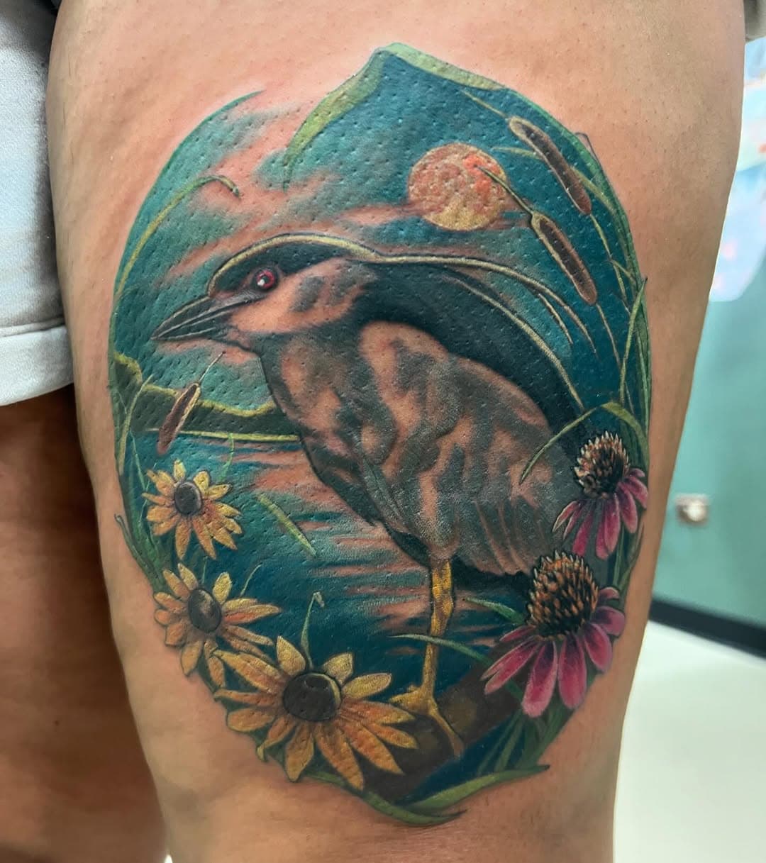 Black crowned night heron! Really fun one to do, thanks Courtney!