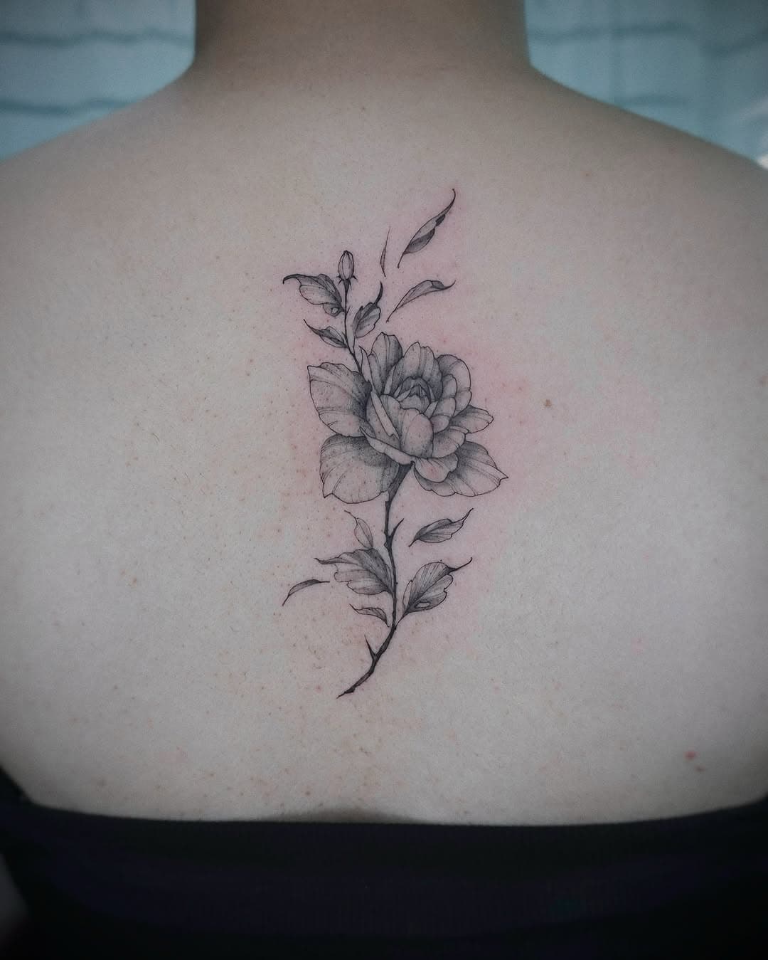 🌹

DM for bookings~

#foowertattoo #rosetattoo #floraltattoo #femaletattoo #botanicaltattoo #blackandgreytattoo #bng #bnginksociety #3rl #3rlonly #stippletattoo