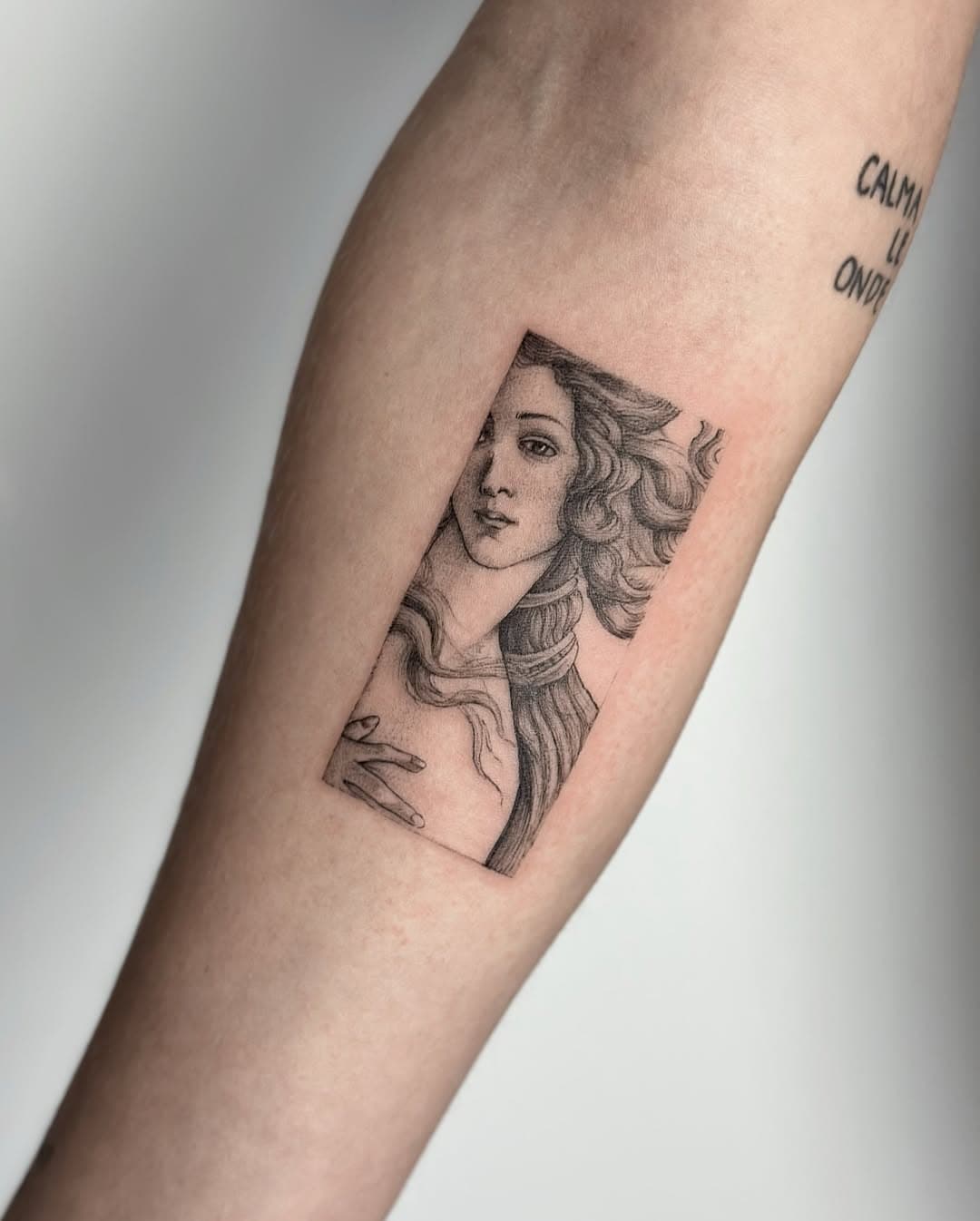 Venus, Botticelli, and a 3 round liner 
4 hours of focused work to bring this cutie alive at @zeitgeist.studio_ 

These are the kind of pieces I love creating, so if you have an idea, even just a spark, let’s talk. I’d love to bring more projects like this to life 

Thanks to @kennib.shaw for the amazing skin and idea 🫶🏻

#Microrealism #FineLineTattoo #MicroRealisticTattoo #RealisticTattoo #ArtOnSkin #InkedMasterpiece #BotticelliTattoo #VenusTattoo #RenaissanceArt #ClassicalArtTattoo #AmsterdamTattoo #TattooArtistAmsterdam #AmsterdamInked #NetherlandsTattoo #TattooArt #TattooStudio #TattooInspo #TattooLife #InkedCommunity