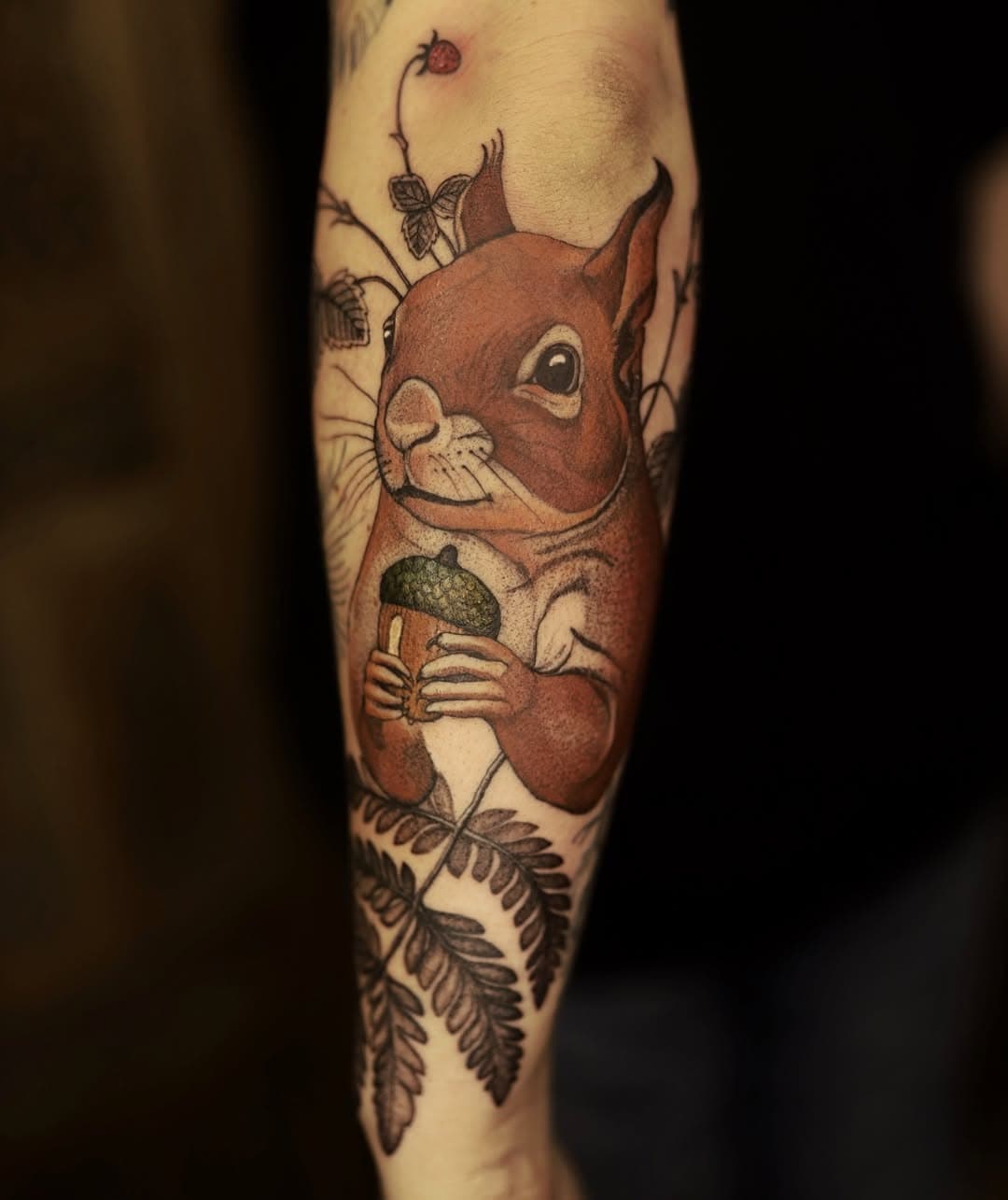 Squirrel 🐿️ @amanita_art_village #wildanimaltattoo #squirrel #dzolama #polandtattoos #wroclawtattoo #ferntattoo #jconly #jconlycartridges #jconlyofficial  #jconlyvetar @jconly_official