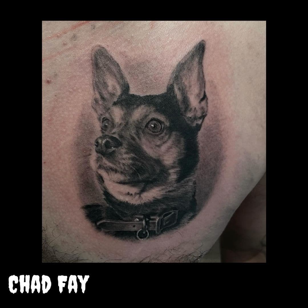 @chadmaxfay // Memorial portrait of Rabbit for @crumbumdeluxe Happy I got to meet this pup years ago! Thank you for the trust! Would love to do more portraits! DM or email chadmaxfay@gmail.com to set something up!!