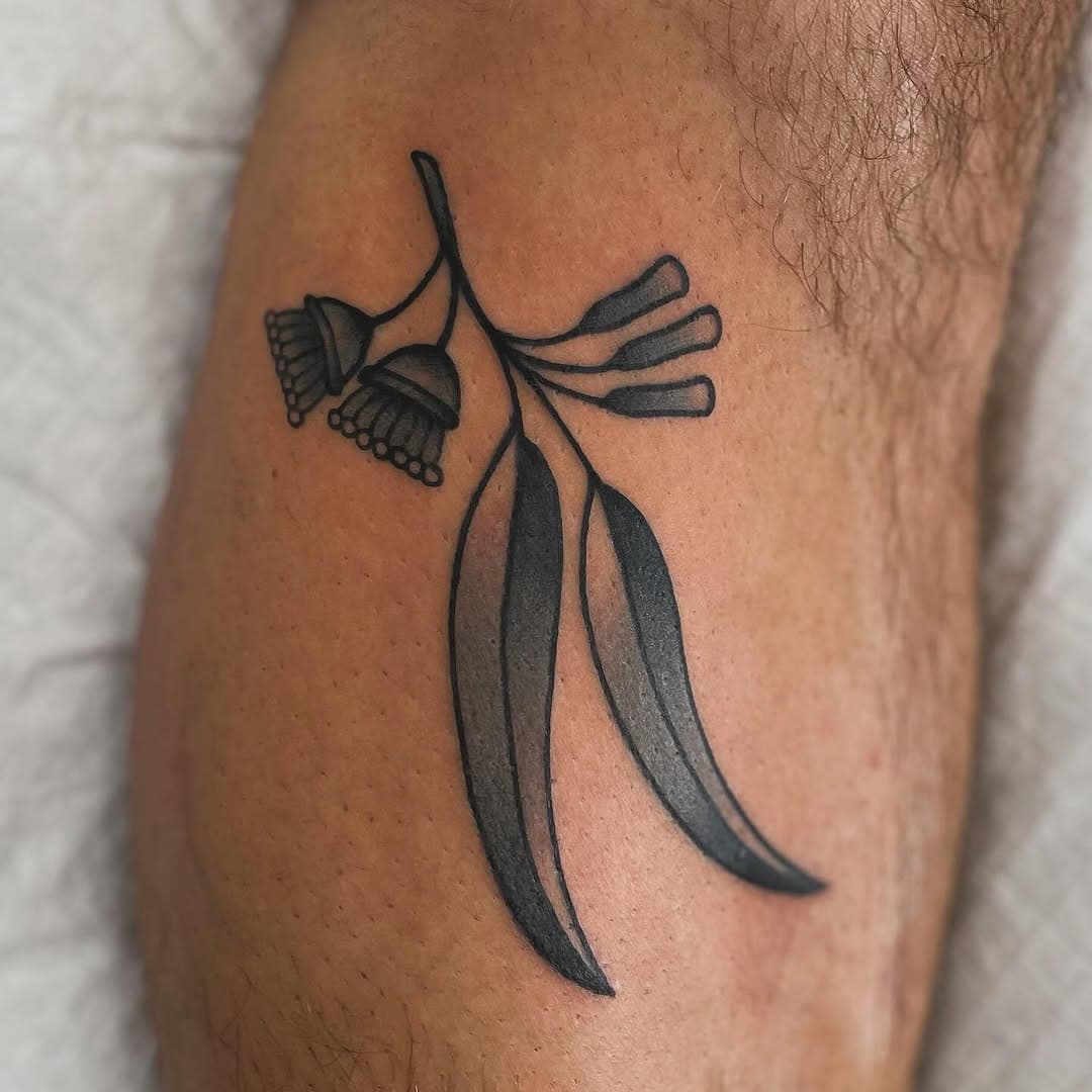 Eucalyptus for Stefan! Lovely to meet you. From my time at @somethingoriginaltattoo ❤️ Thanks for having me 🙏 
.
.
.
#eucalyptus #eucalyptustattoo #australiannativeflower #qttr #transartist #transtattooer #melbourne #tattoo #melbournetattoo