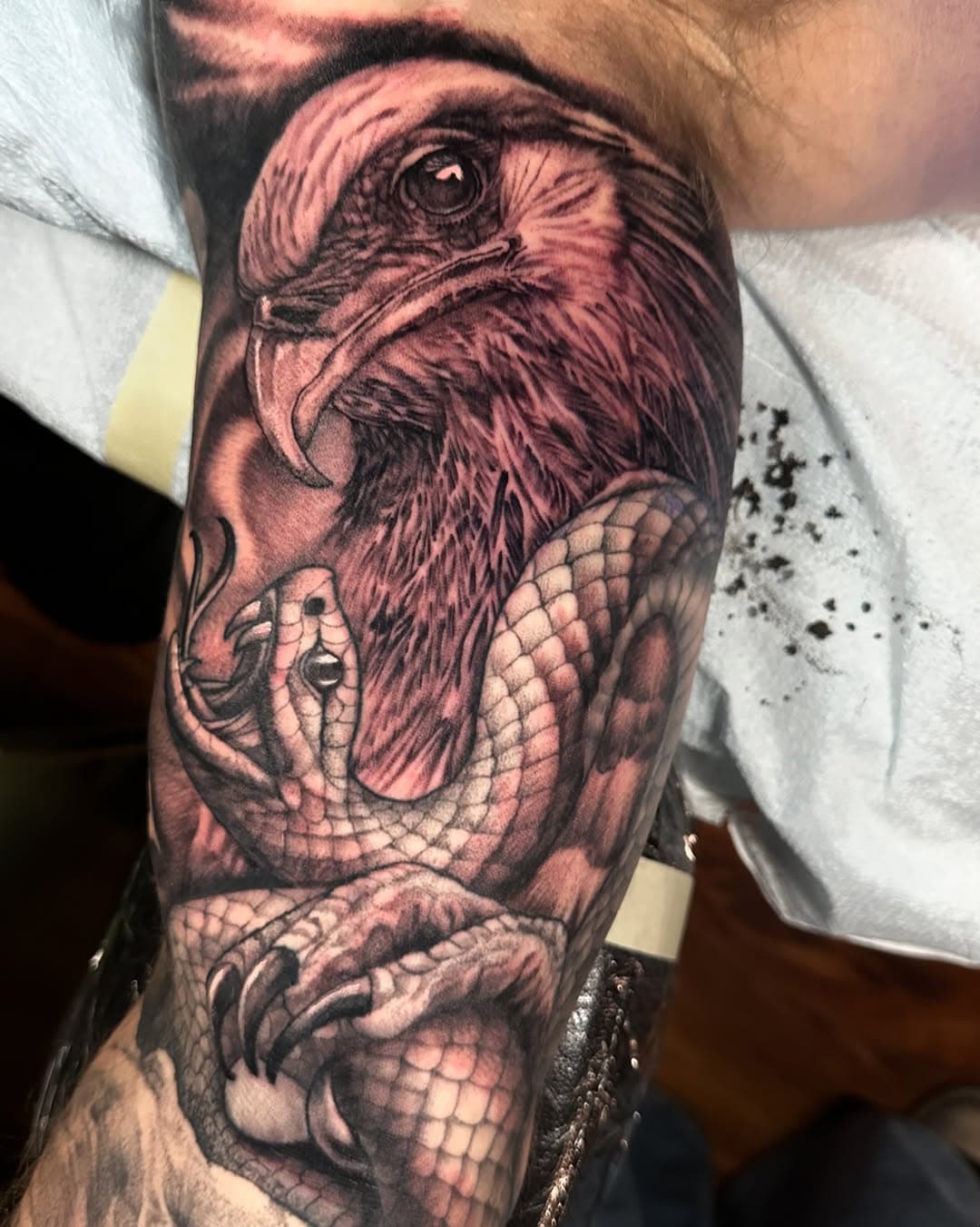 Josh's battle between the African Secretary bird and its tasty snake snack treat. I started losing him as a friend around the top of the head there, but he persevered and we finished up the last big section of his African sleeve and his first tattoo. Thanks bud!

#tattoosbykatecrane #direwolftattoostudio #thousandoakstattooartist #secretarybird #secretarybirdandsnake #snaketattoo #birdofpreytattoo #birdvssnaketattoo #africananimals #blackandgreysleeve #naturesleeve
