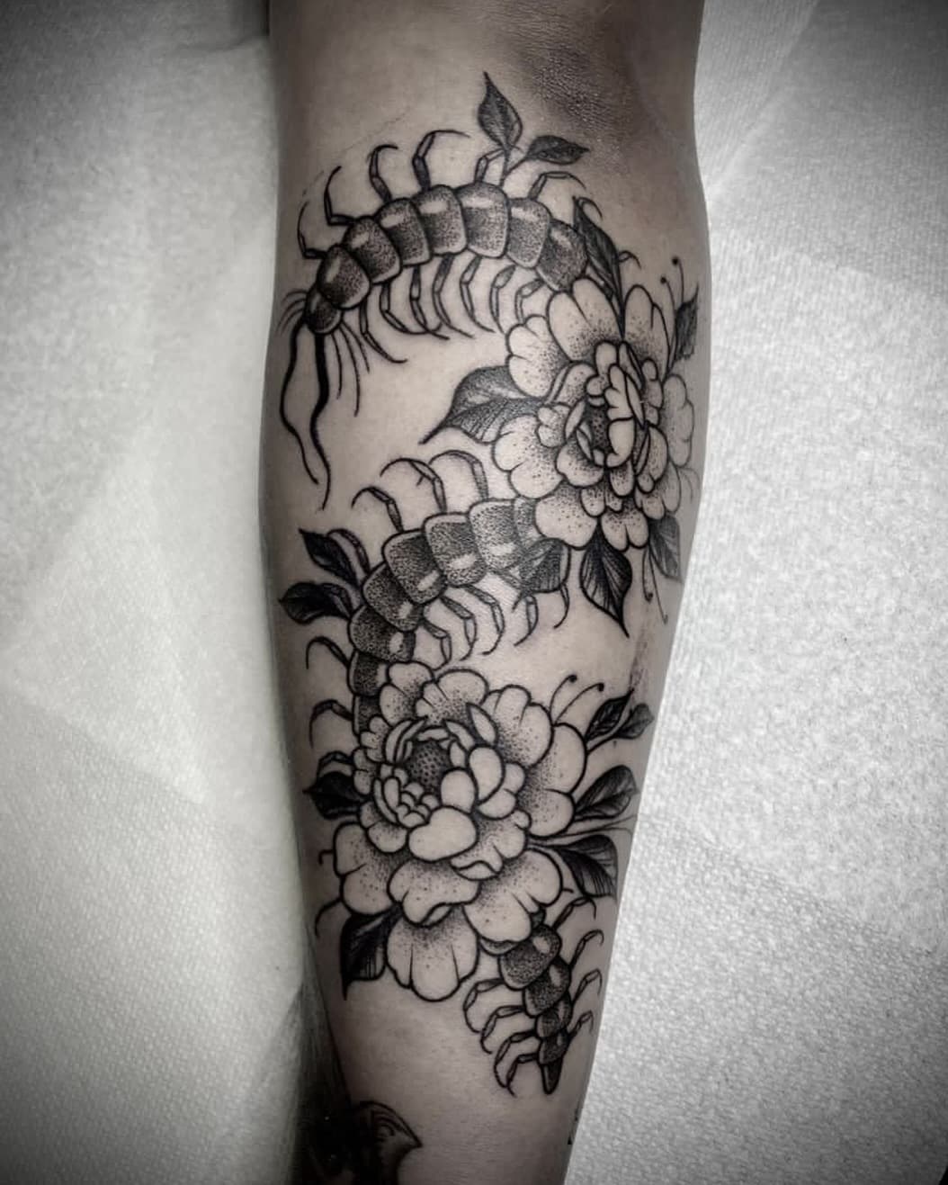 Gorgeous piece by @katepenntattoos 🔥 Kate loves tattooing animals, critters, botanicals, florals, all the nature things (and more!) To schedule a consultation with her visit the ✨LINK IN HER BIO✨

⌁ ©Kate Penn @katepenntattoos 
⠀⠀⠀⠀⠀⠀⠀⠀⠀
TerrariumTattoo.com // Fort Collins, Colorado
⠀⠀⠀⠀⠀⠀⠀⠀⠀
#terrariumtattoo #katepenntattoos #fortcollins #fortcollinstattoos #fortcollinstattooartist #coloradotattooartist  #wyomingtattoo #oldtownfortcollins #downtownfortcollins #dotworktattoo #coloradotattoo #flowertattoo #planttattoo #dotworktattoo #tattooedgirls #flowertattoo #dotworktattoo #lineworktattoo #graphictattoo #girlswithtattoos #finelinetattoo  #botanicaltattoo #crittertattoo