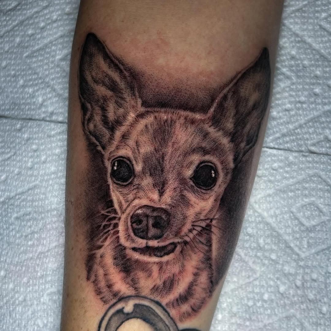 Little dog portrait rip Chico . Always an honor to do tattoos like this . For appointments dm or text me . 
Thank you 
#tattoos #ventura #artist #tattooartist