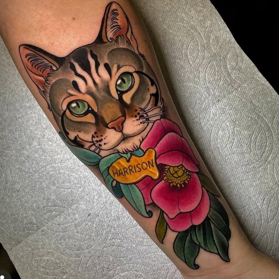 Kitty portrait by @haleybearstattoo @fusion_ink @criticaltattoosupply @tatsoul @secondskin @jetblacksupply #temecula #murrieta #sandiego