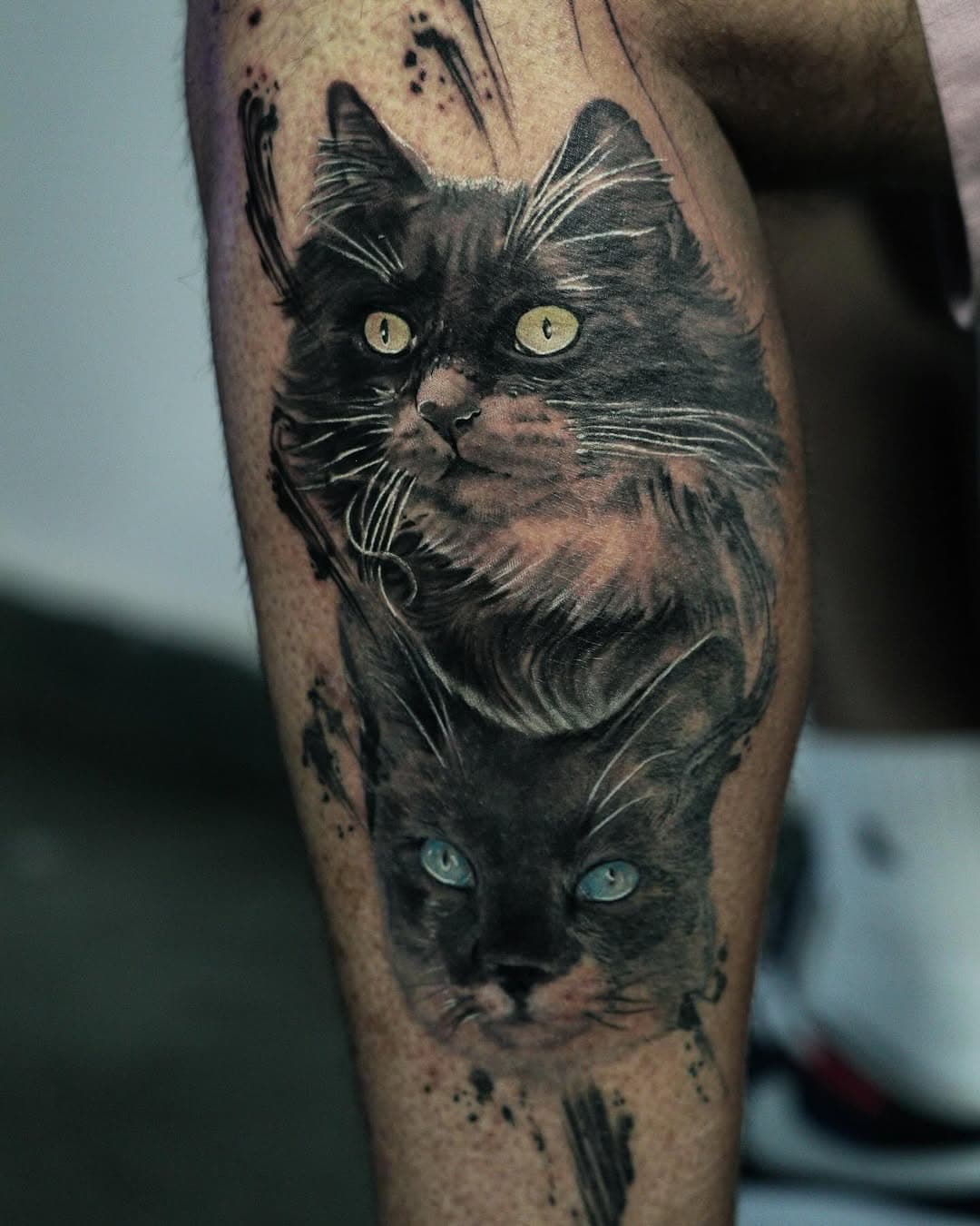 Felinos do Luciano ! Adorei realizar esse trabalho, muito obrigado por confiar querido ! @studiofreua #gato #gatotattoo