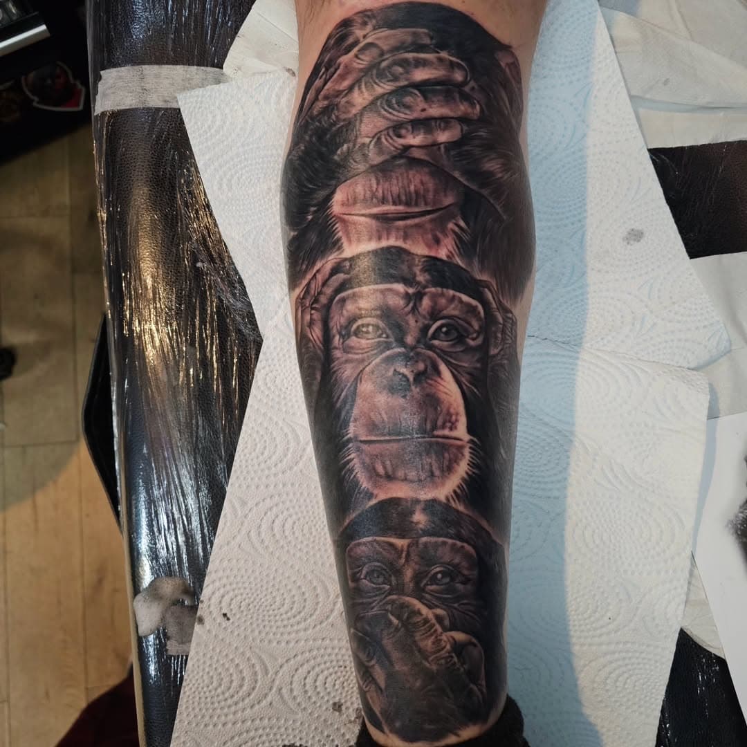 See no evil,  hear no evil,  speak no evil monkeys done on shin. White highlights will be added after healing, so look up for healed photos.

Done at @holyskulltattooedinburgh @inkdoctortattoo 

#holyskulltattooedinburgh #inkdoctoraftercare #ink #totaltattoo #edinburgh #edinburghtattoo #tattoo #tattooeverythingsupplies #legtattoo #inked #dominikaszymczyktattoo #scottishtattooartist