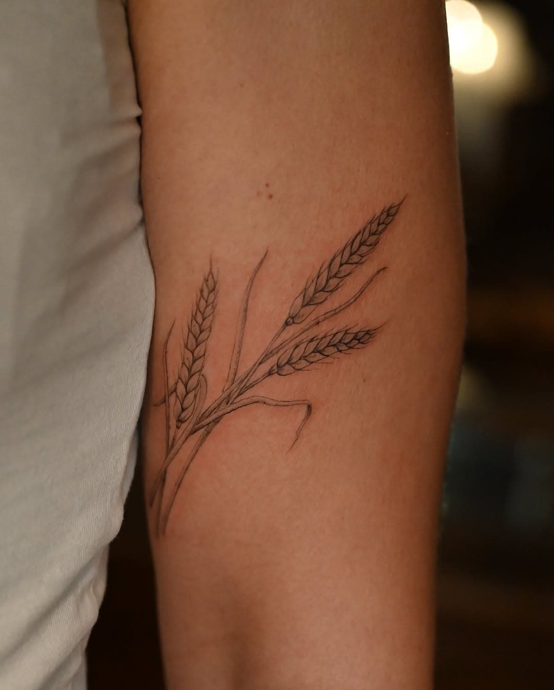 #memories #wheat #wheattattoo