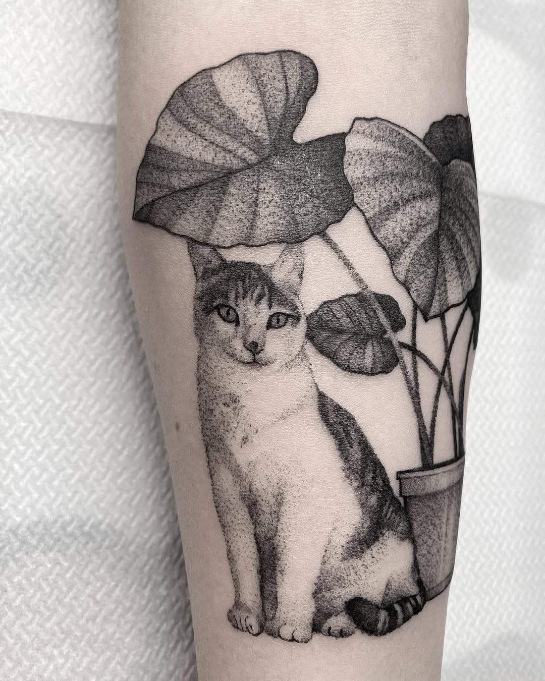 Amo fuertecito al gato que he hecho hoy 😻
.
Hecho en @la_dotline 
#bilbao #bilbaotattoo #tattoobilbao