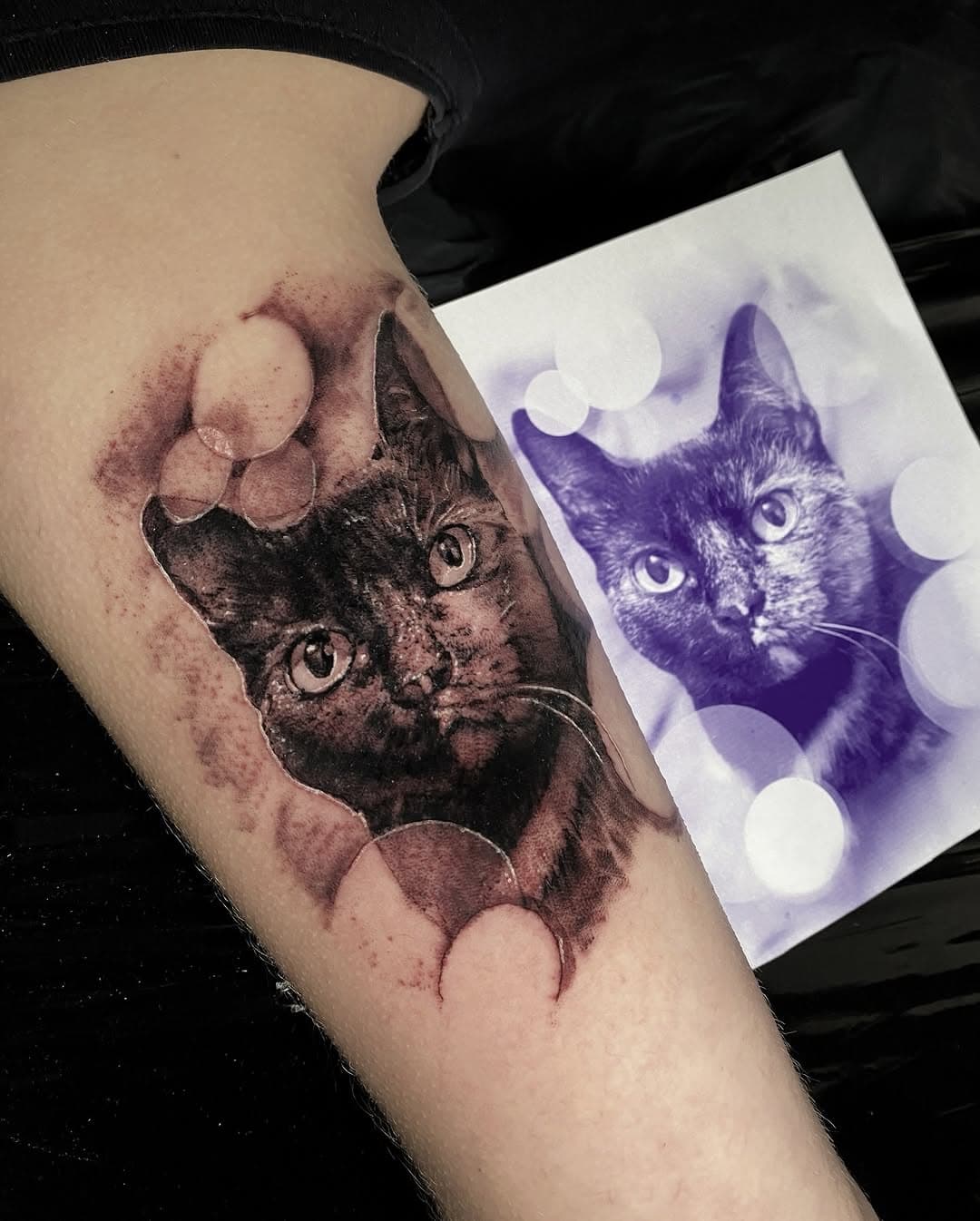 #rtcandrzejcymontattoo #andrzejcymon #tattoo #tattoos #inktattoo #inkedup #animalstattoo #cattattoo #twinstattoo #bodyarttattoo #polishtattooartist #poland #lwówekśląski #loversilesia #pola_la