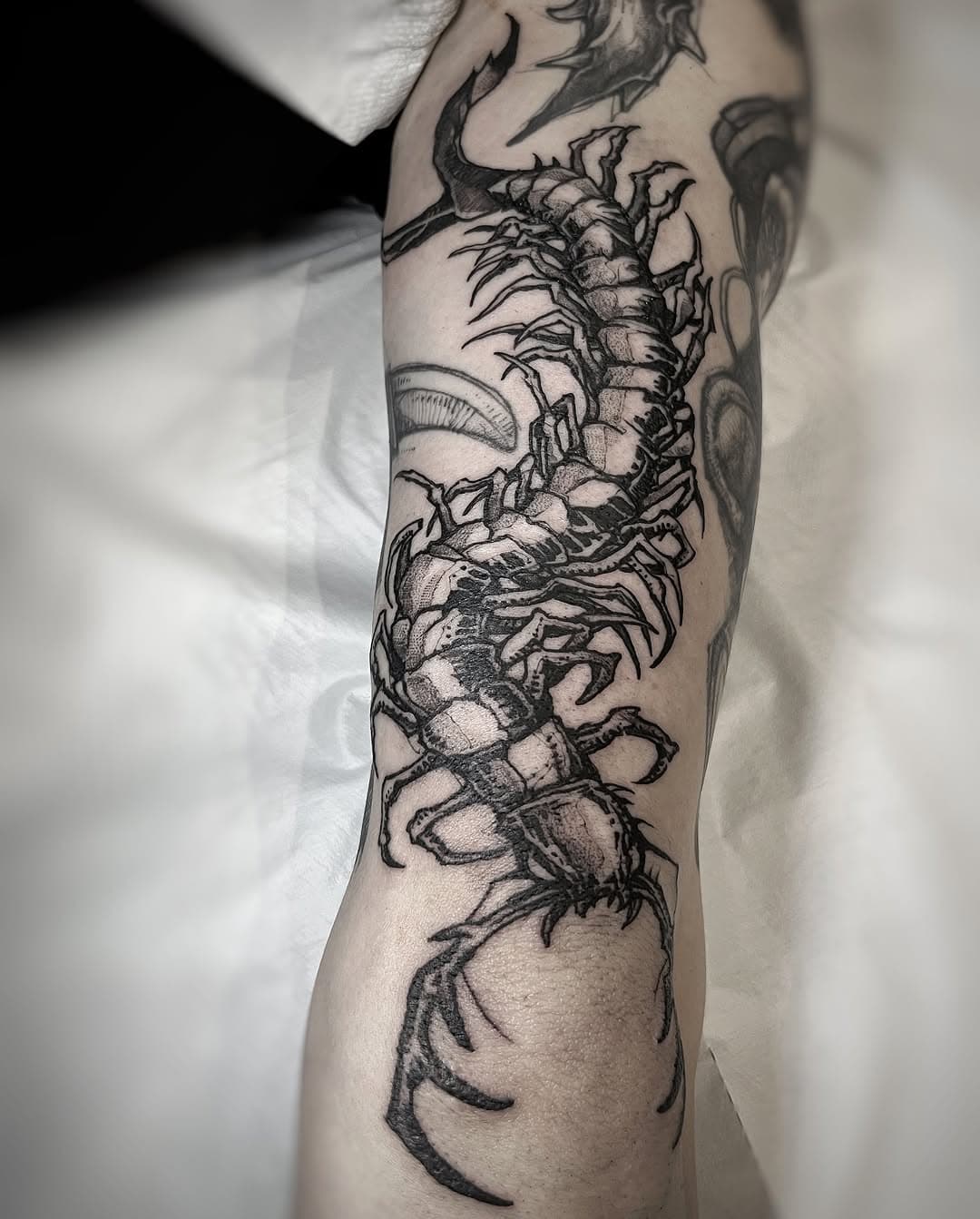 CENTIPEDE ON HUMAN
Zrobione @wciemnylas 
#tattoo