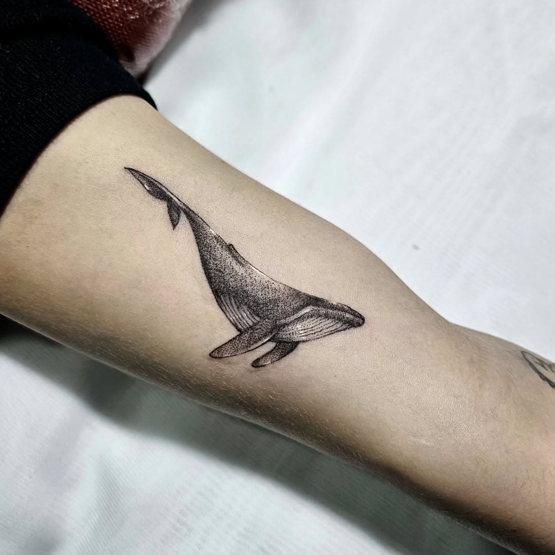 Baleia Fineline 🤌🏻 
AGENDA ABERTA 
.
.
.
#tattoo #tattoos #tatuagem #fineline #baleia #tattoodelicada #tatuagemdelicada #delicatetattoo #ink #inked #draw #drawing #work #balneariocamboriu #santacatarina