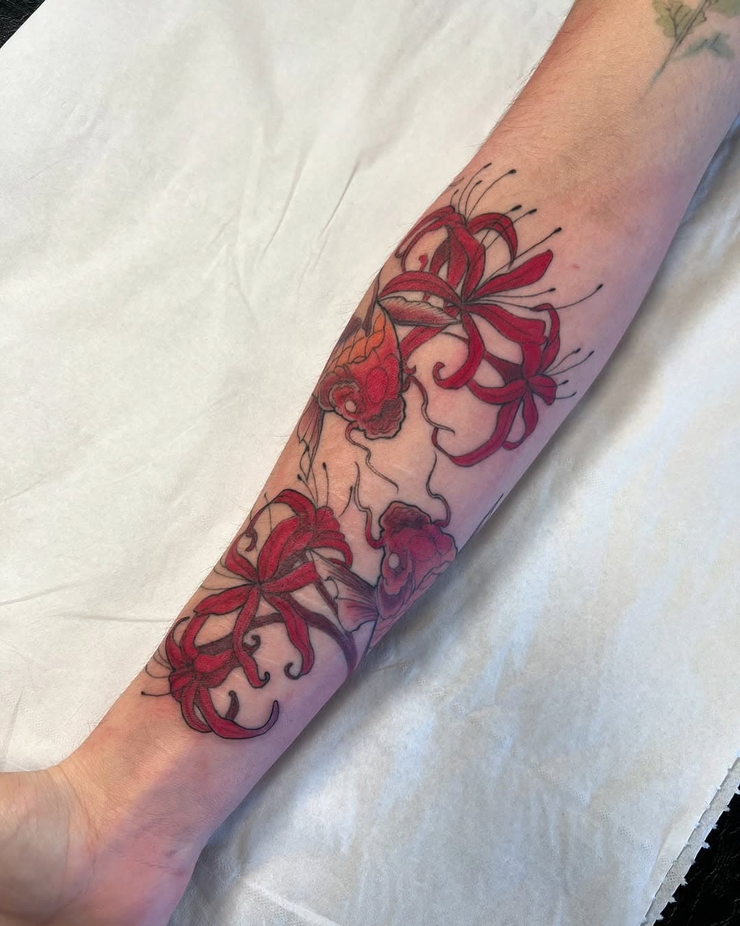 Tatouage avant-bras cicatrisé – Carpes koi & lys araignée

Le tattoo est bien cicatrisé, et je suis super content du rendu ! 🔥 Ici, on est sur une compo avec deux carpes koi rouge-orangées autour de deux lys araignée rouge (Higanbana). Un mélange entre mouvement et finesse, parfait pour l’avant-bras.

Les koi, c’est un classique dans le style japonais, symbole de persévérance et de force. Les lys, eux, apportent une touche plus florale et symbolisent le destin, la transformation. L’ensemble fonctionne super bien et suit naturellement la forme du bras.

Merci encore à ma cliente pour sa confiance sur ce projet ! Hâte de voir comment il va évoluer avec le temps. 😎

#Tattoo #Tatouage #JapaneseTattoo #CarpeKoi #Higanbana #InkArt #TattooHealing #TattooArtist