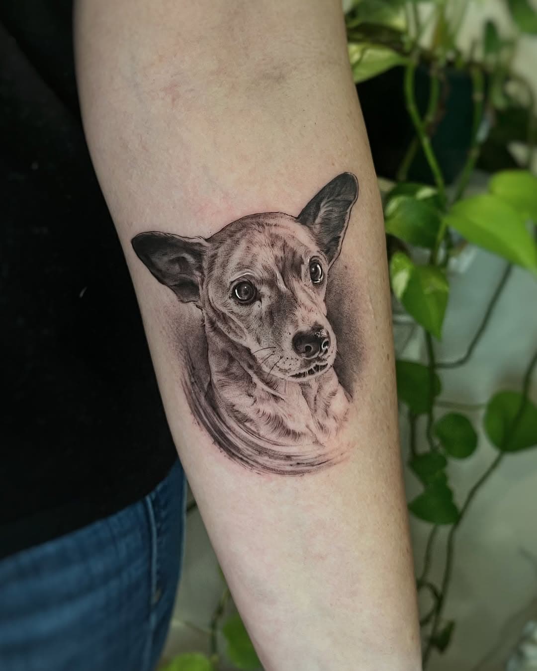 Un homenaje al precioso Olaf🤍
.
📍Zaragoza
#zaragozatattoo #realismotattoo #dogtattoo #dogportrait #realistictattoo #realisticink