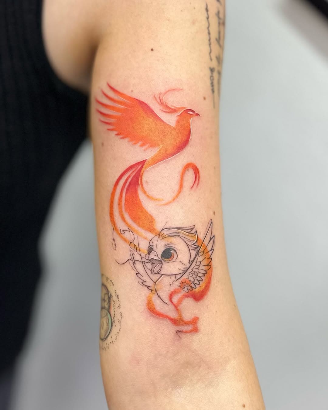 #fenix by @nusytattoo ❤️‍🔥

Haz tu consulta o pide presupuesto:
WhatsApp +34 933 10 48 48 📞
info@goontattoo.com ✉️

#watercolortattoo #watercolor #sketchtattoo #sketch #fineline #finelinetattoo #finelinetattoos #bcn #barcelona